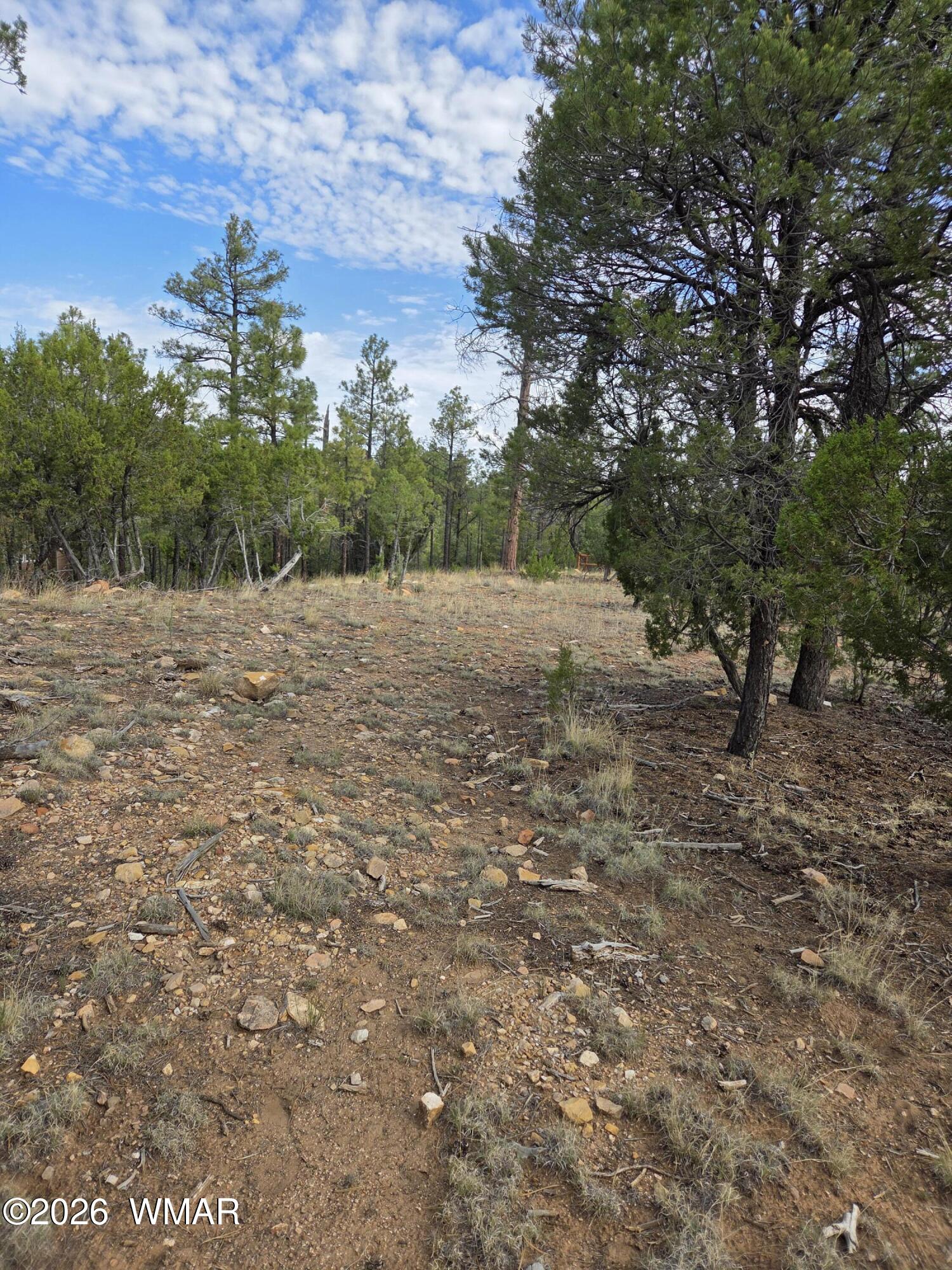 3332 Sawmill Ridge Loop