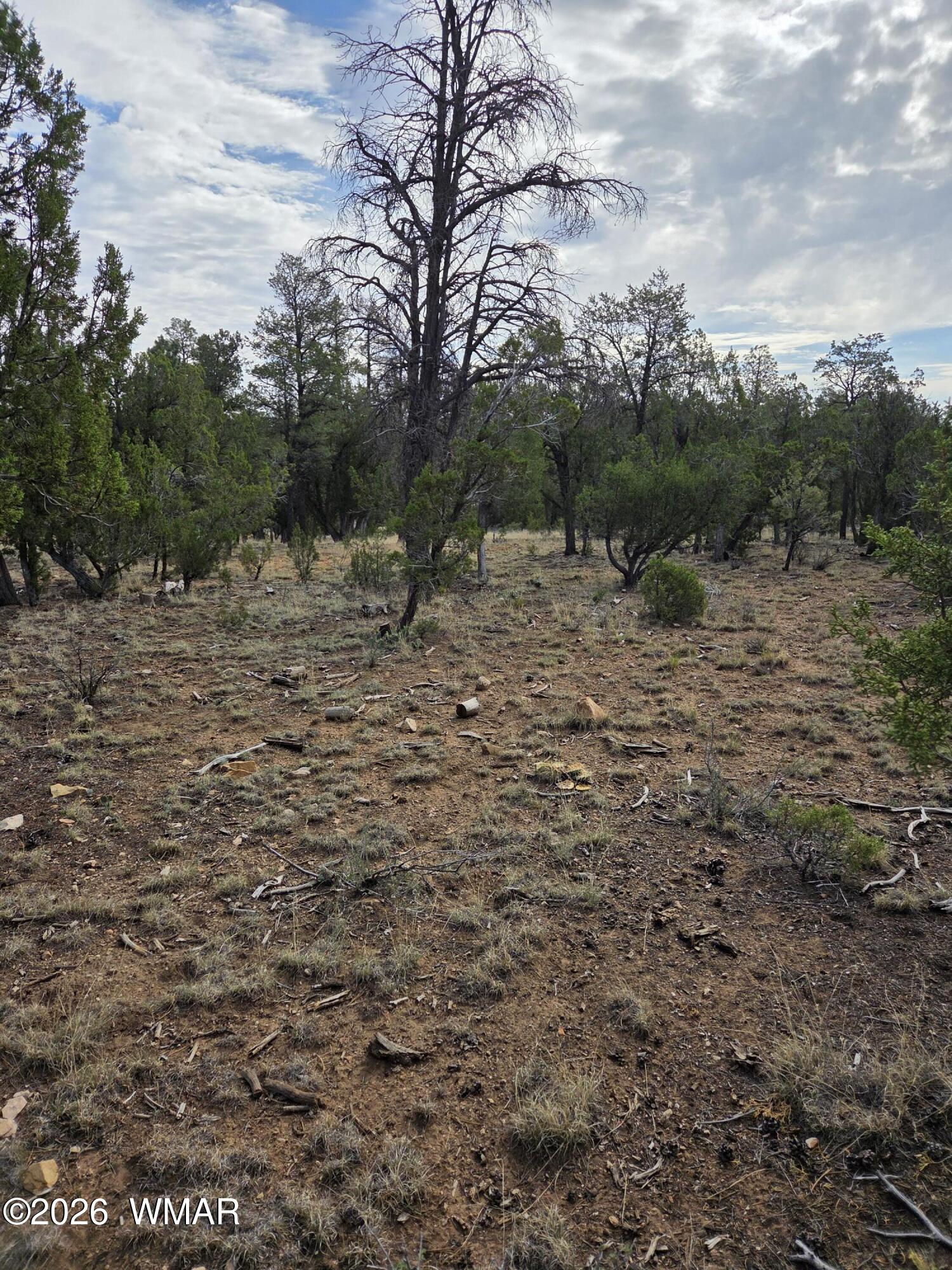 3332 Sawmill Ridge Loop