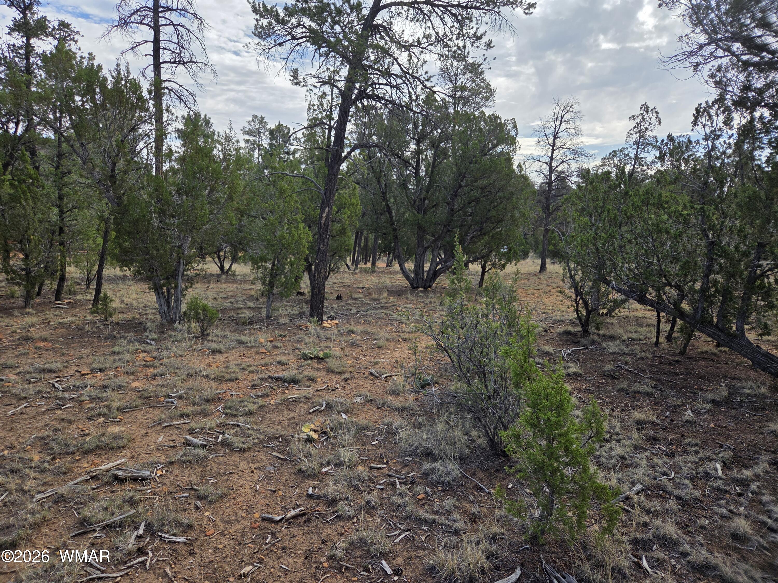 3332 Sawmill Ridge Loop