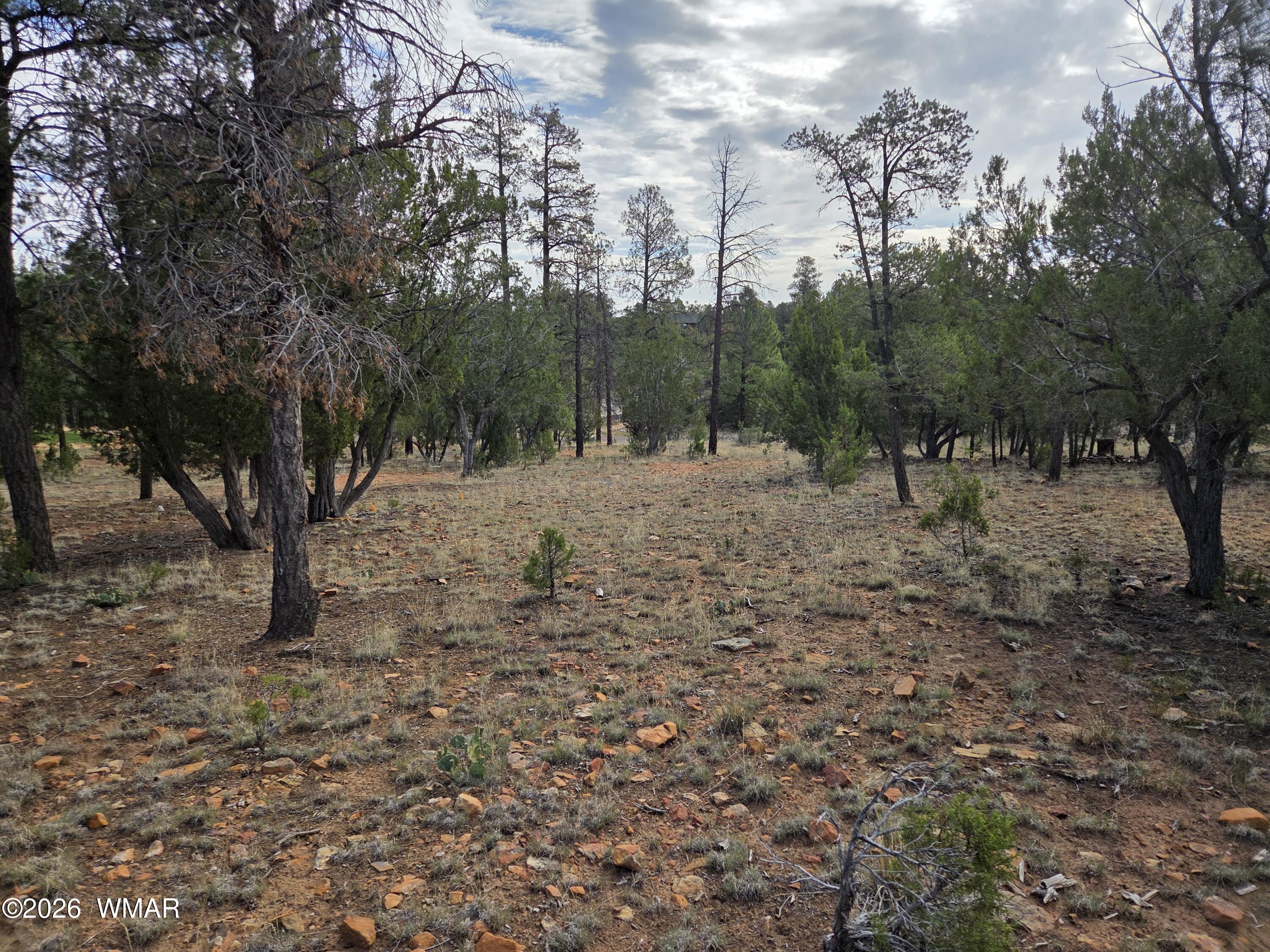 3332 Sawmill Ridge Loop
