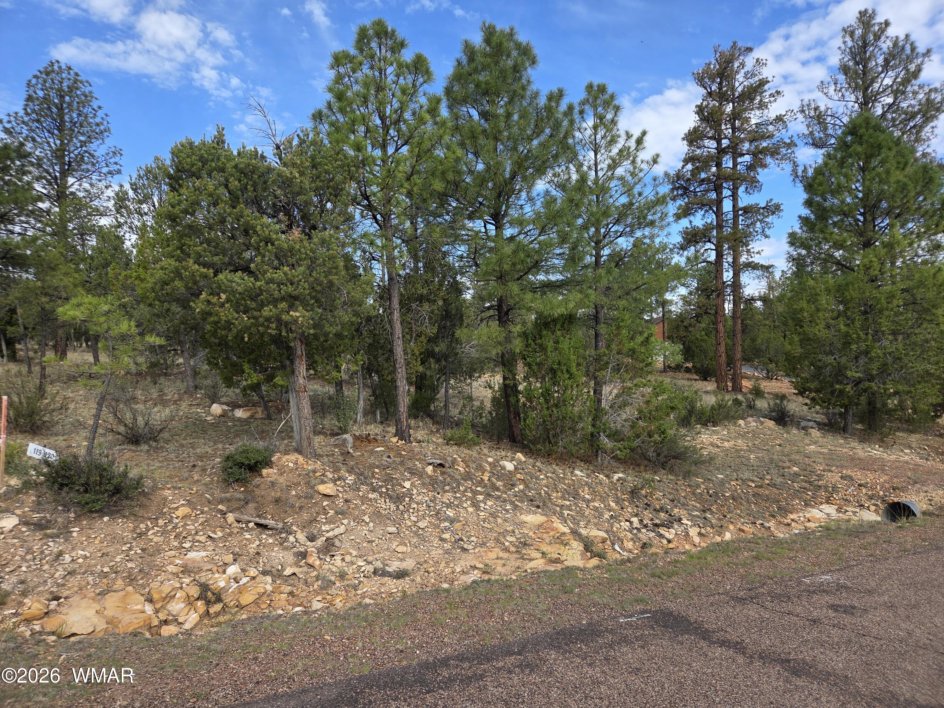 3332 Sawmill Ridge Loop