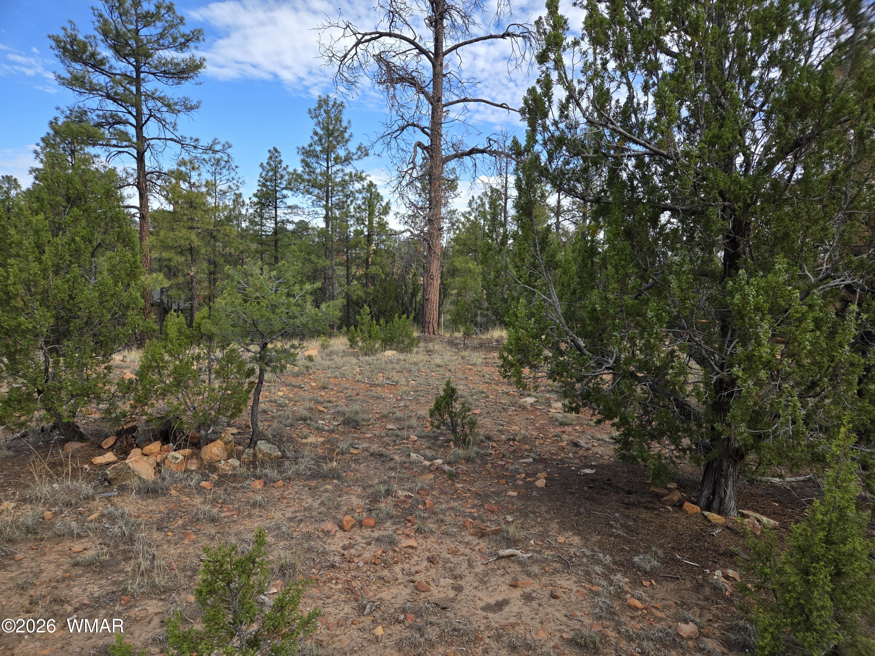 3332 Sawmill Ridge Loop