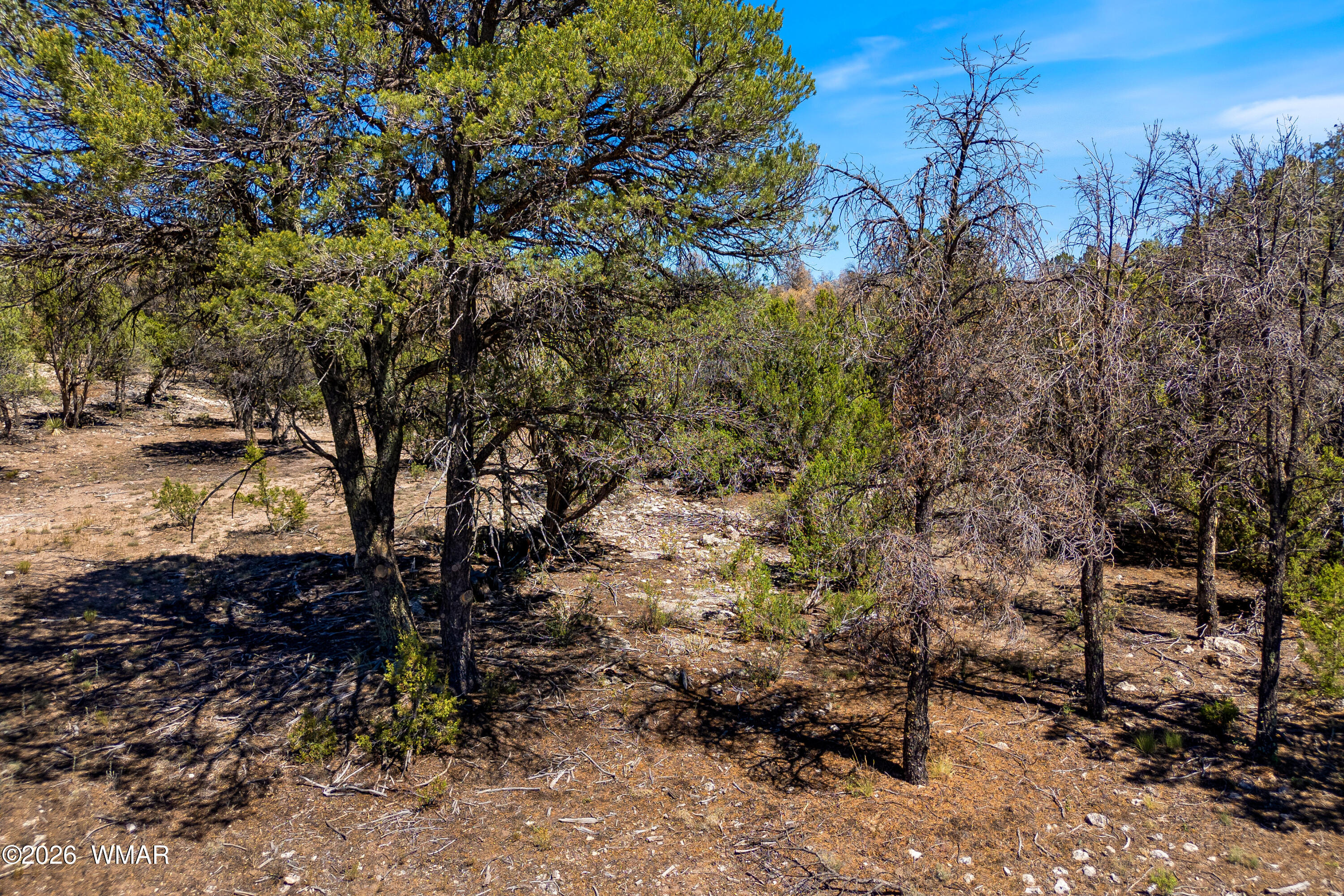3243 Outlaw Trail