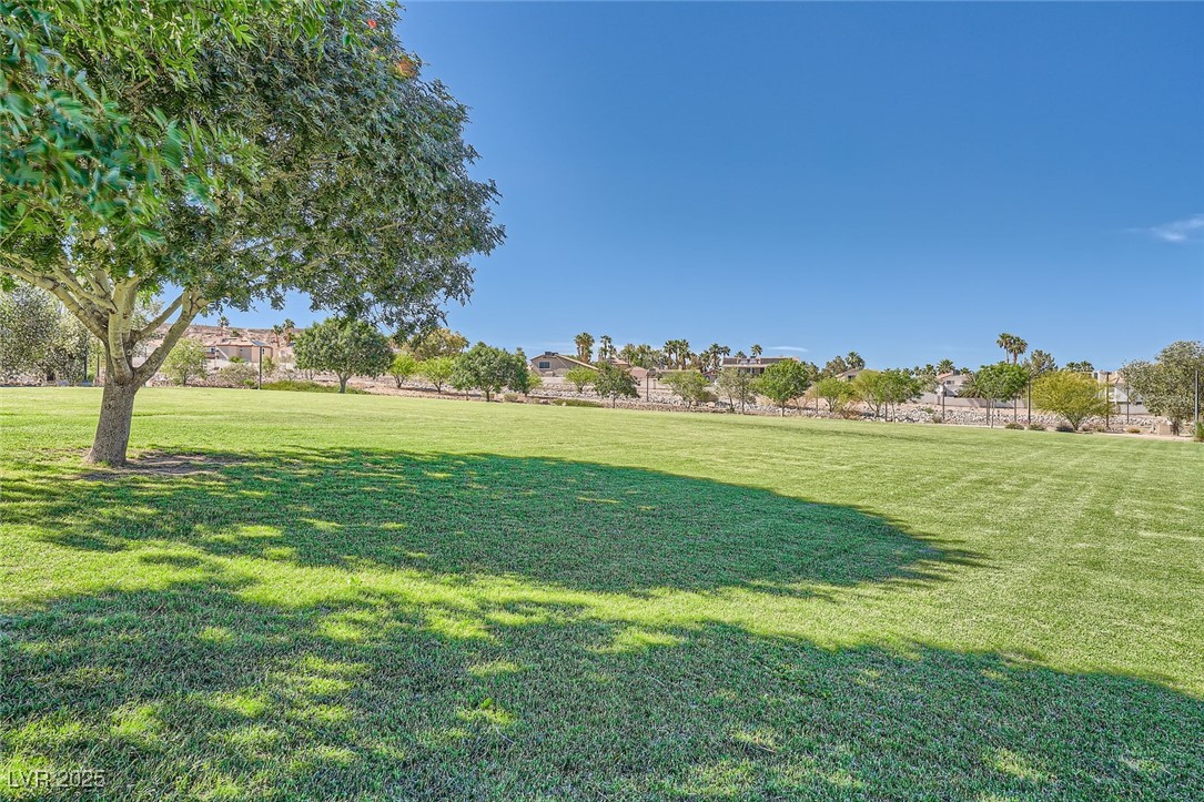 1641 Blue Cliffs Avenue