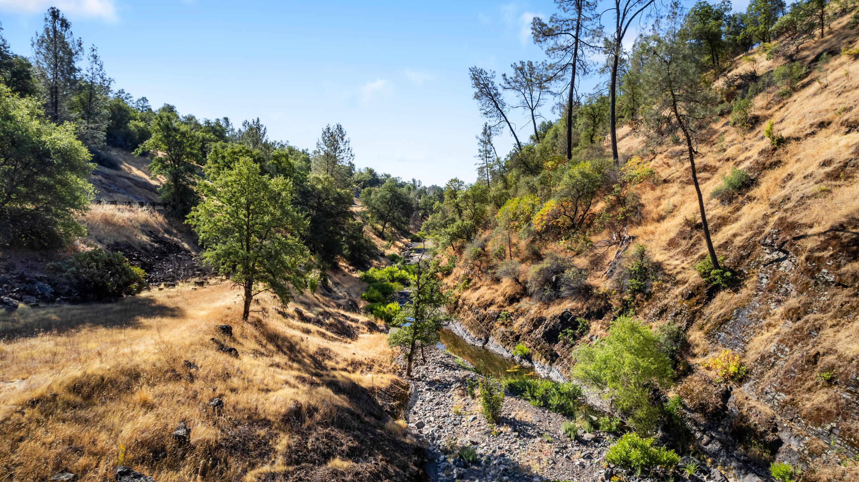 13213 Hidden Oaks Trail