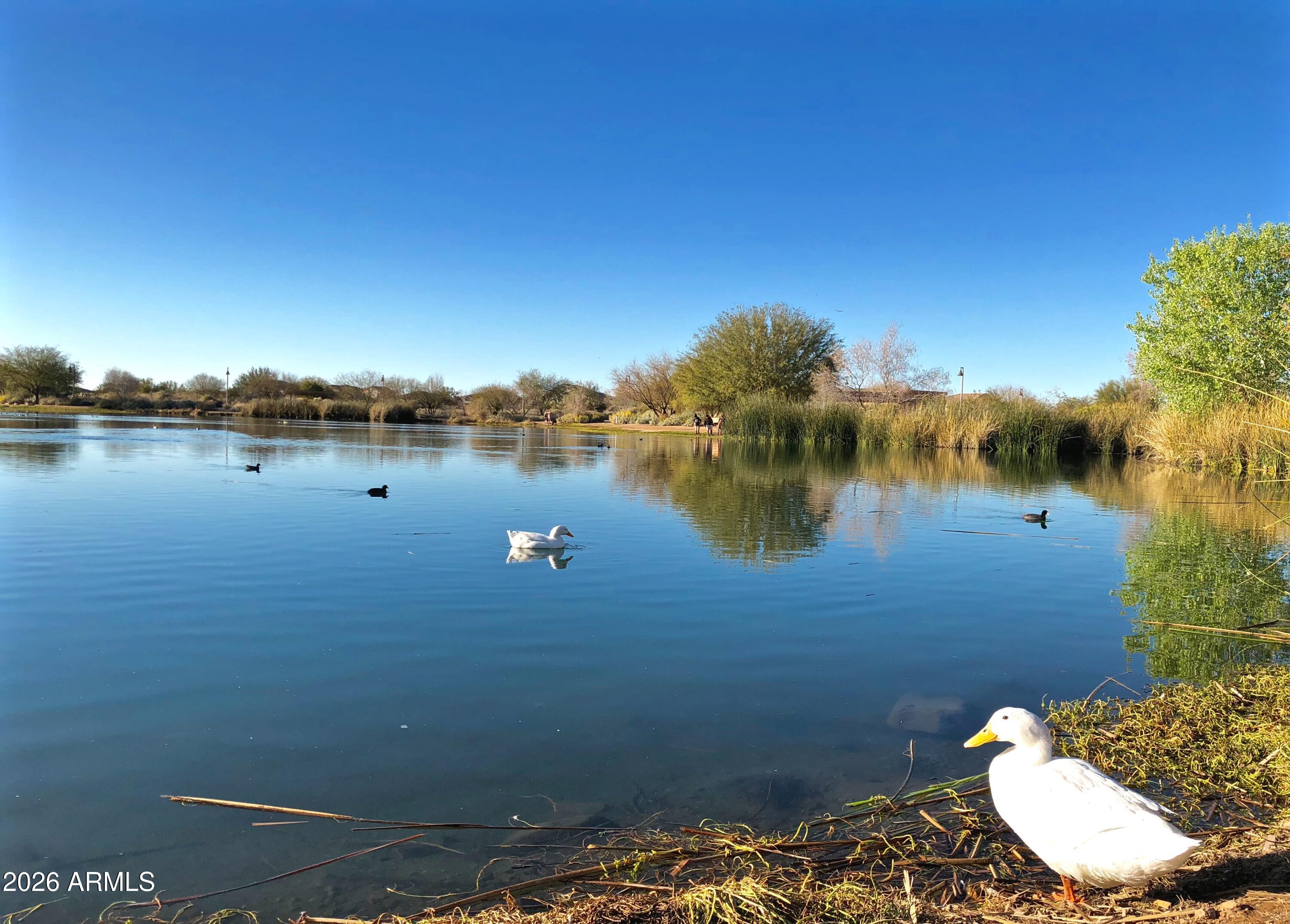 3994 E GRAND CANYON Place