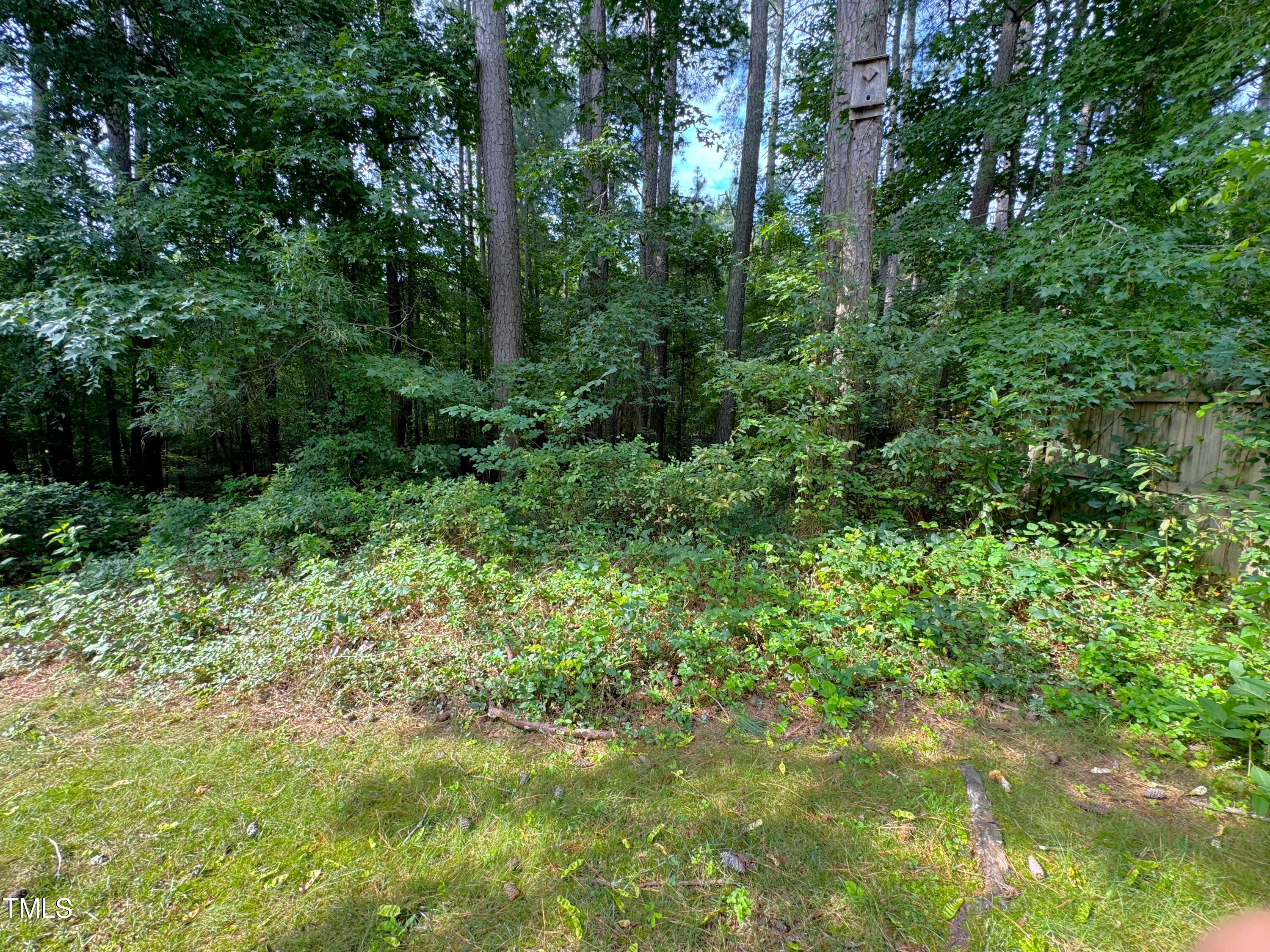 447 Mayview Drive