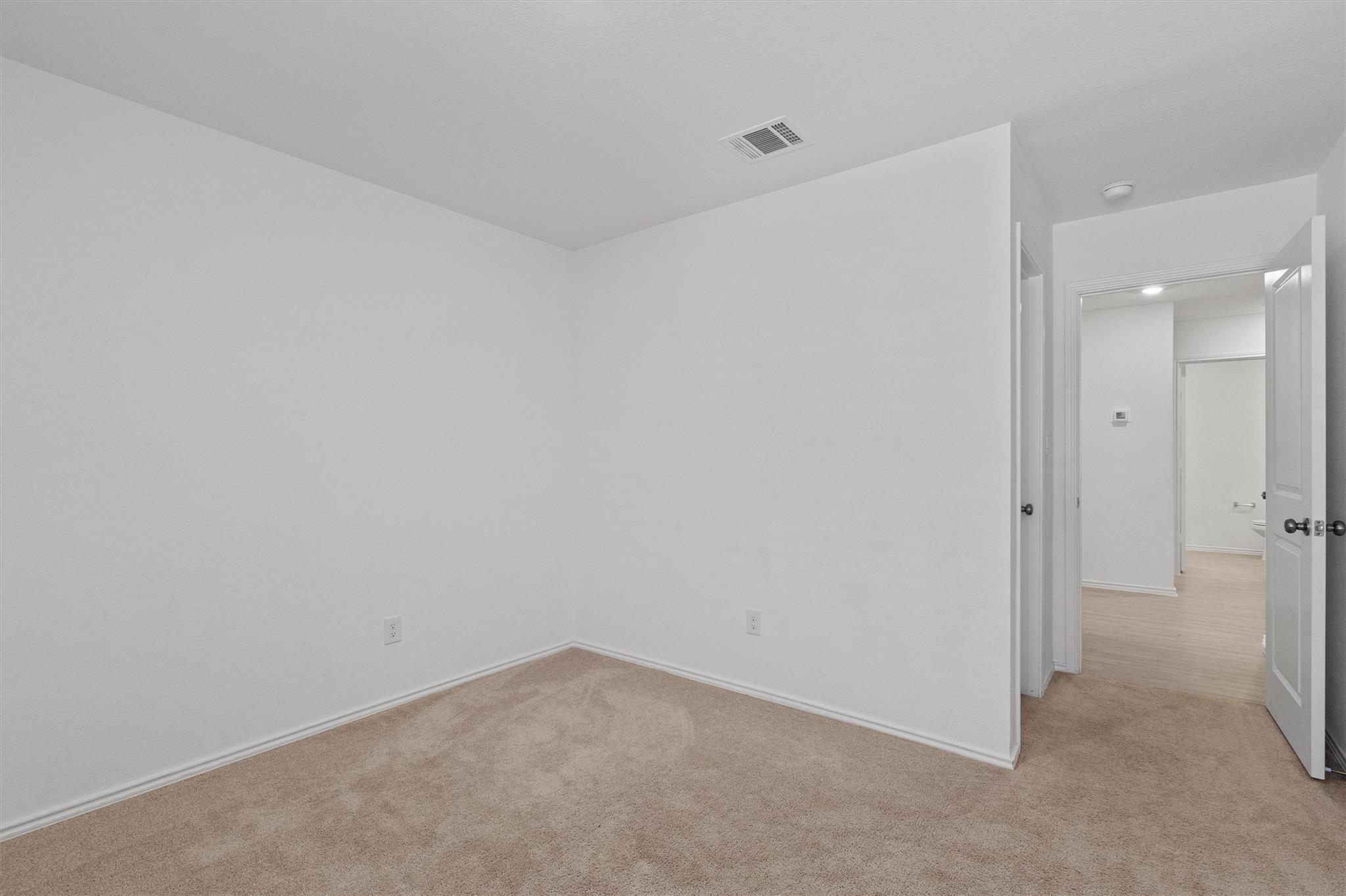 216 Little Sparklers LOOP