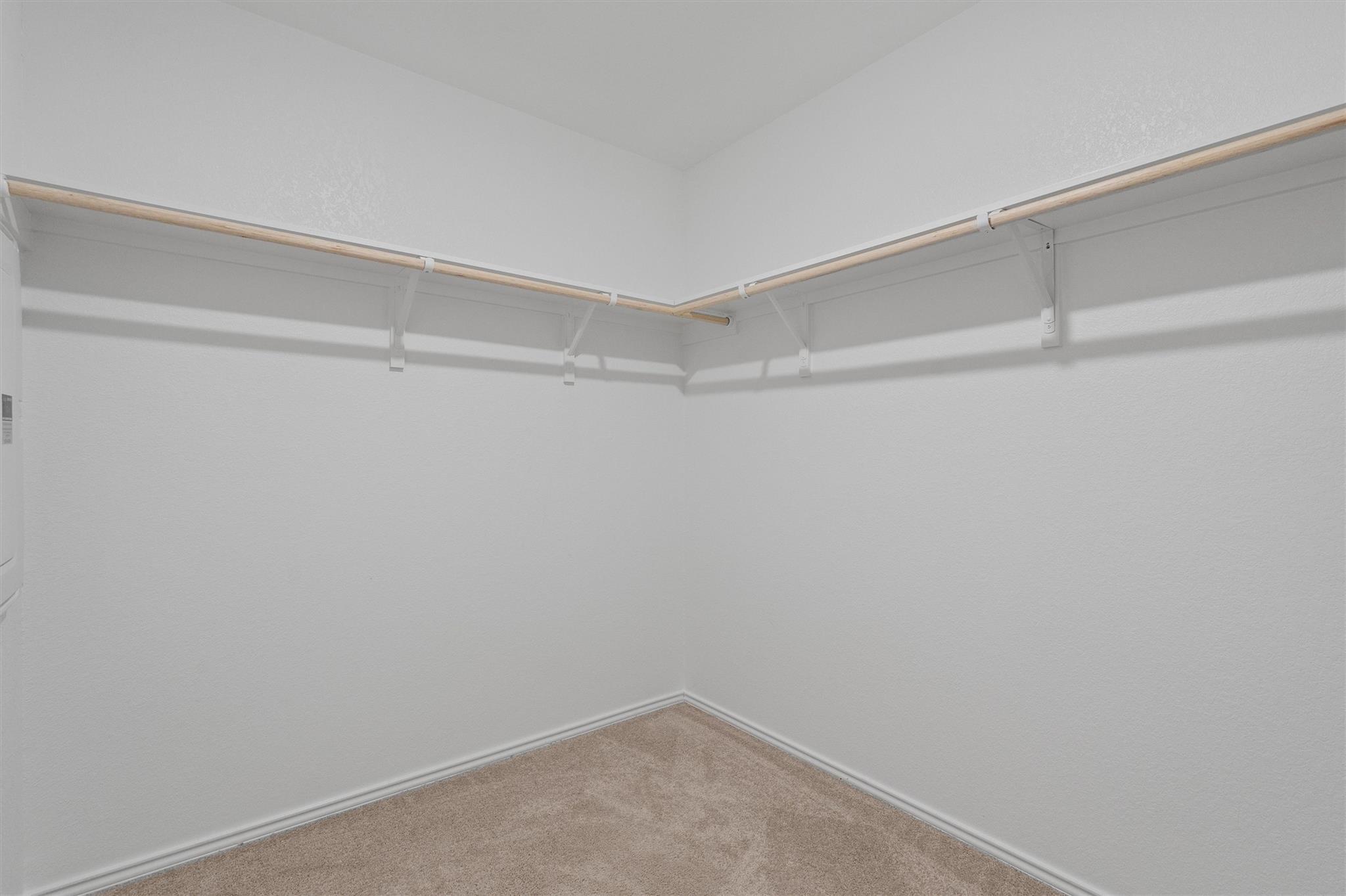 216 Little Sparklers LOOP