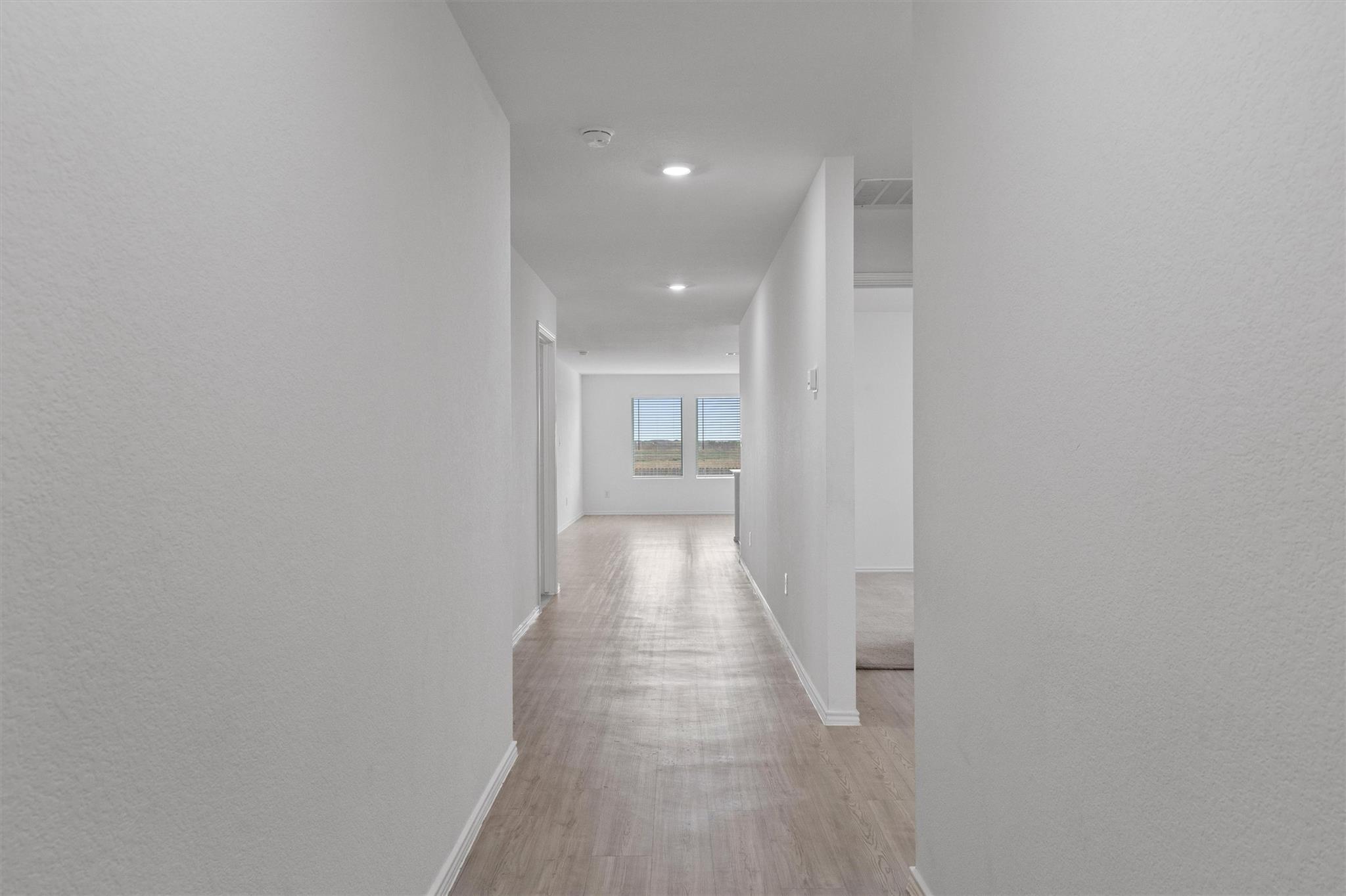 216 Little Sparklers LOOP