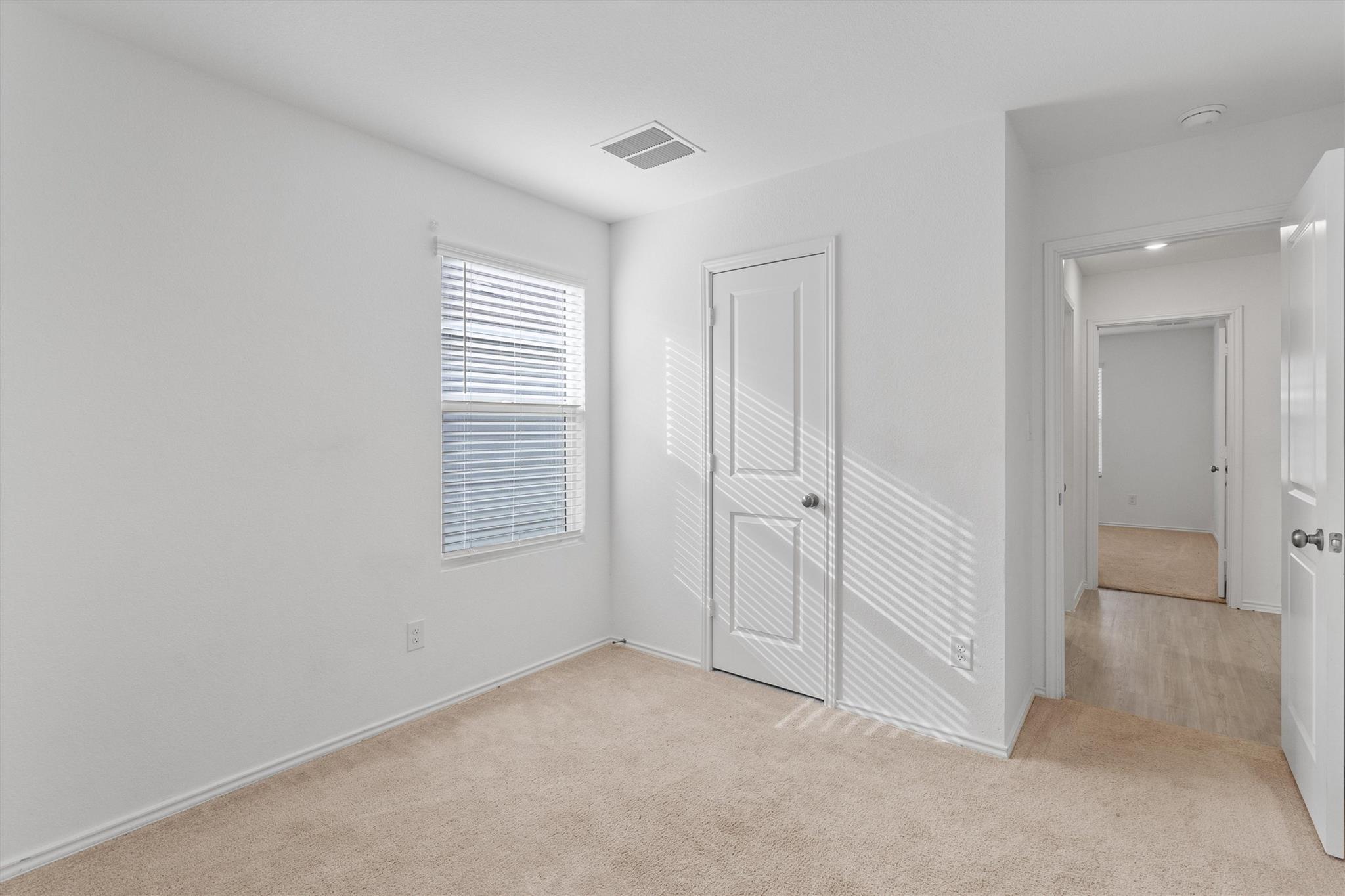 216 Little Sparklers LOOP