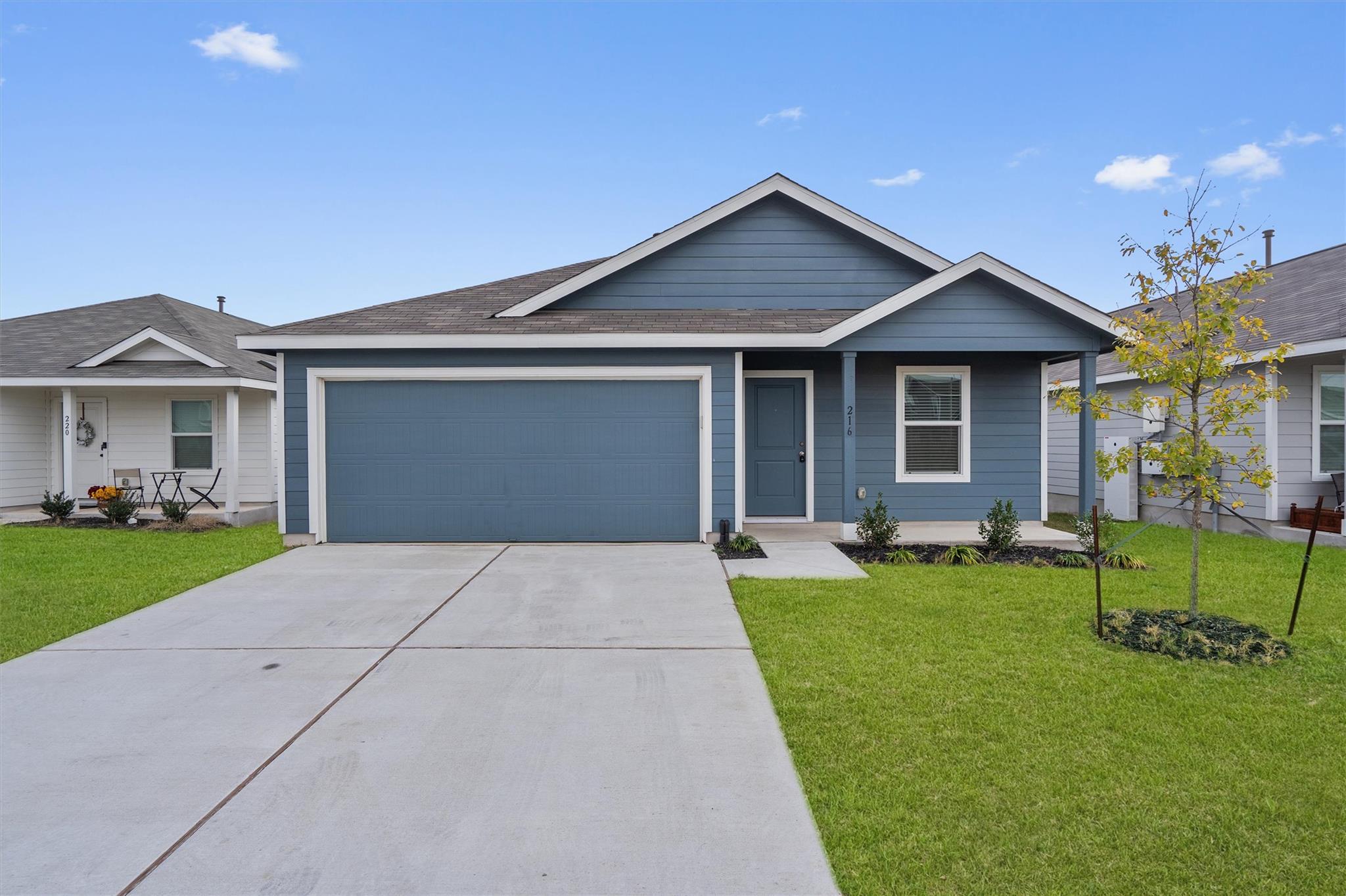 216 Little Sparklers LOOP