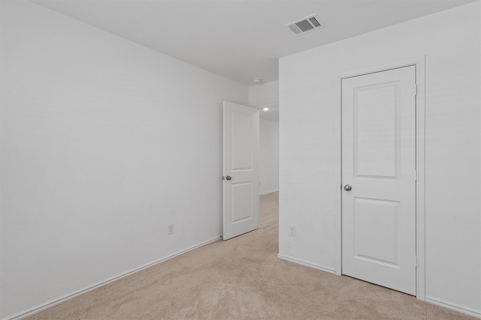 216 Little Sparklers LOOP