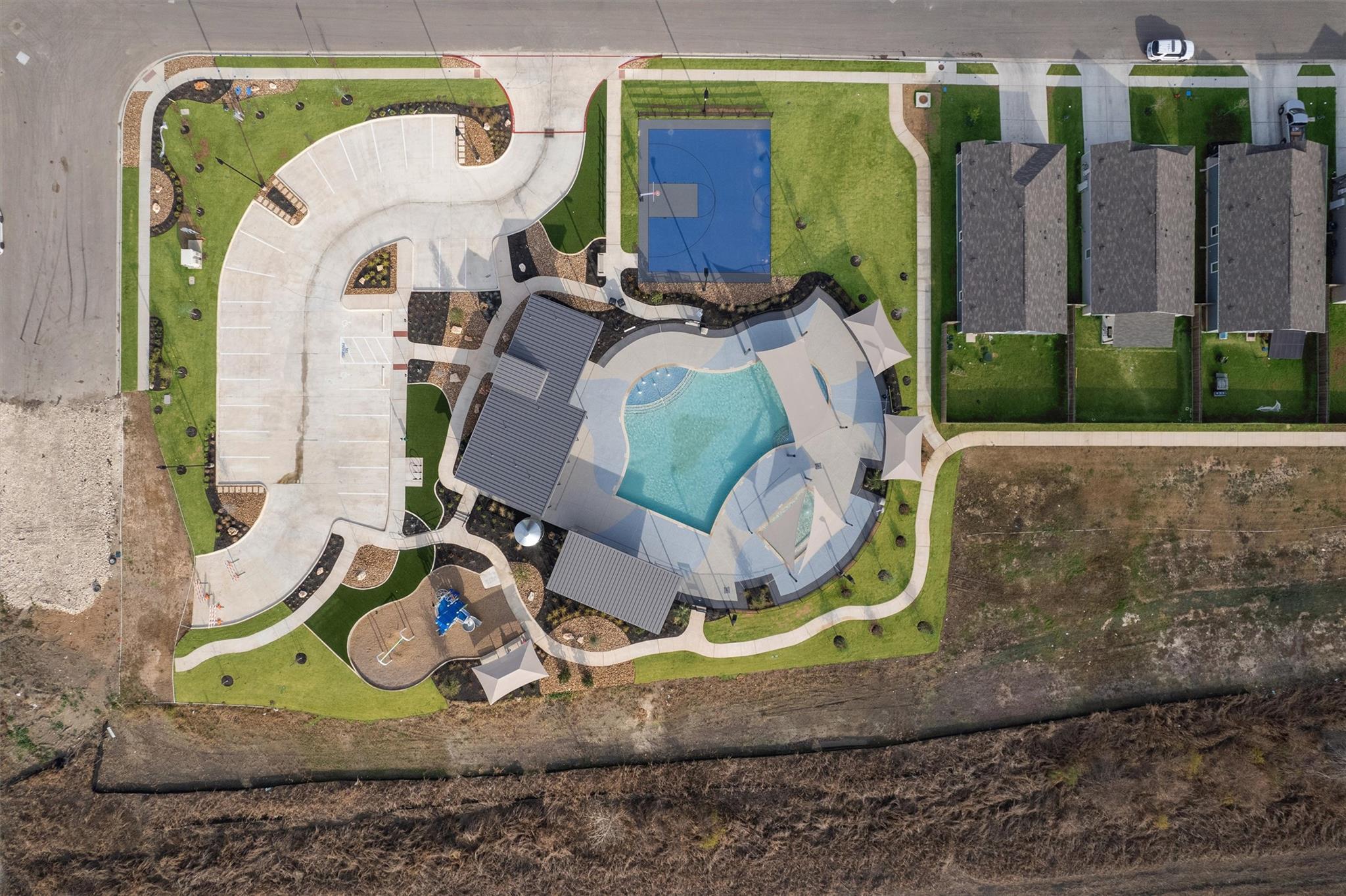 216 Little Sparklers LOOP