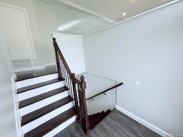 8 Alpine Street