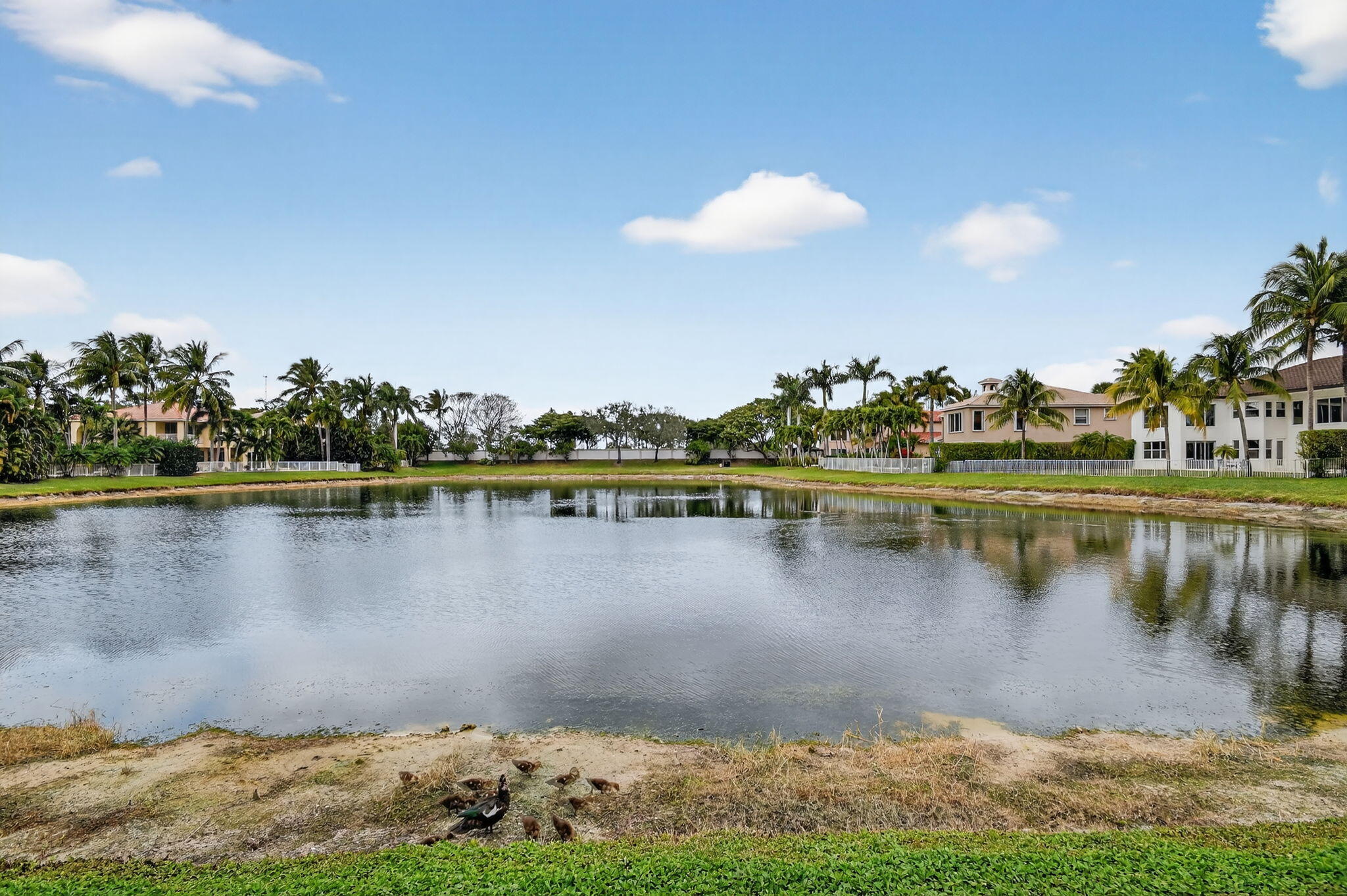9543 Campi Drive
