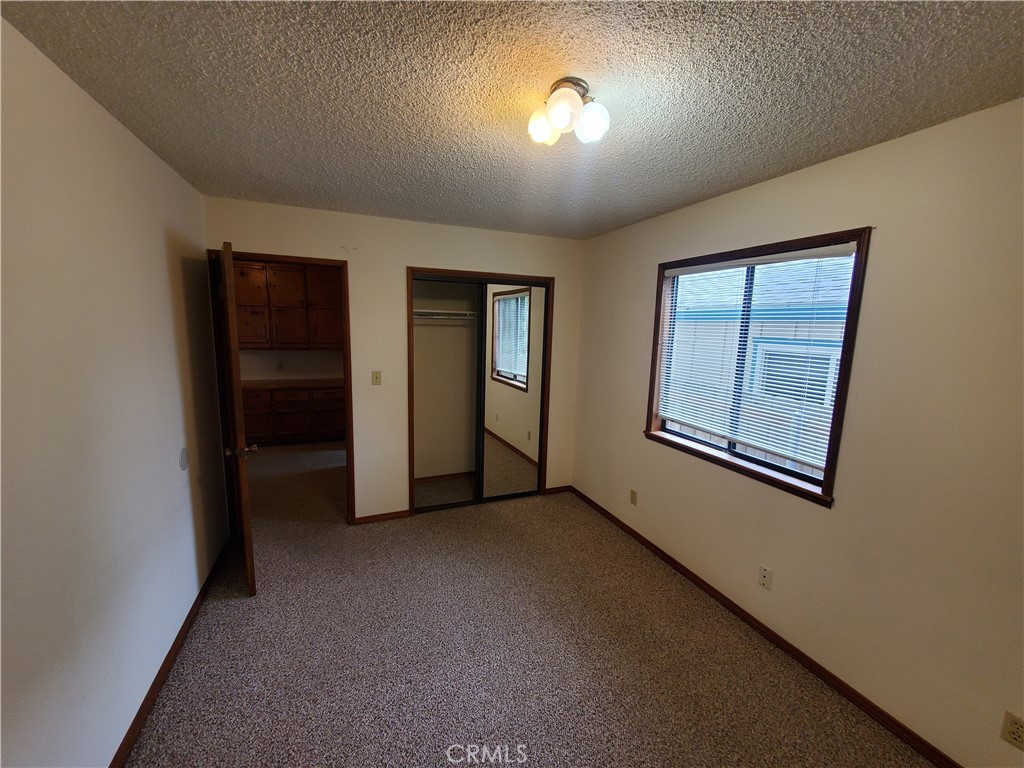 381 Kodiak Street