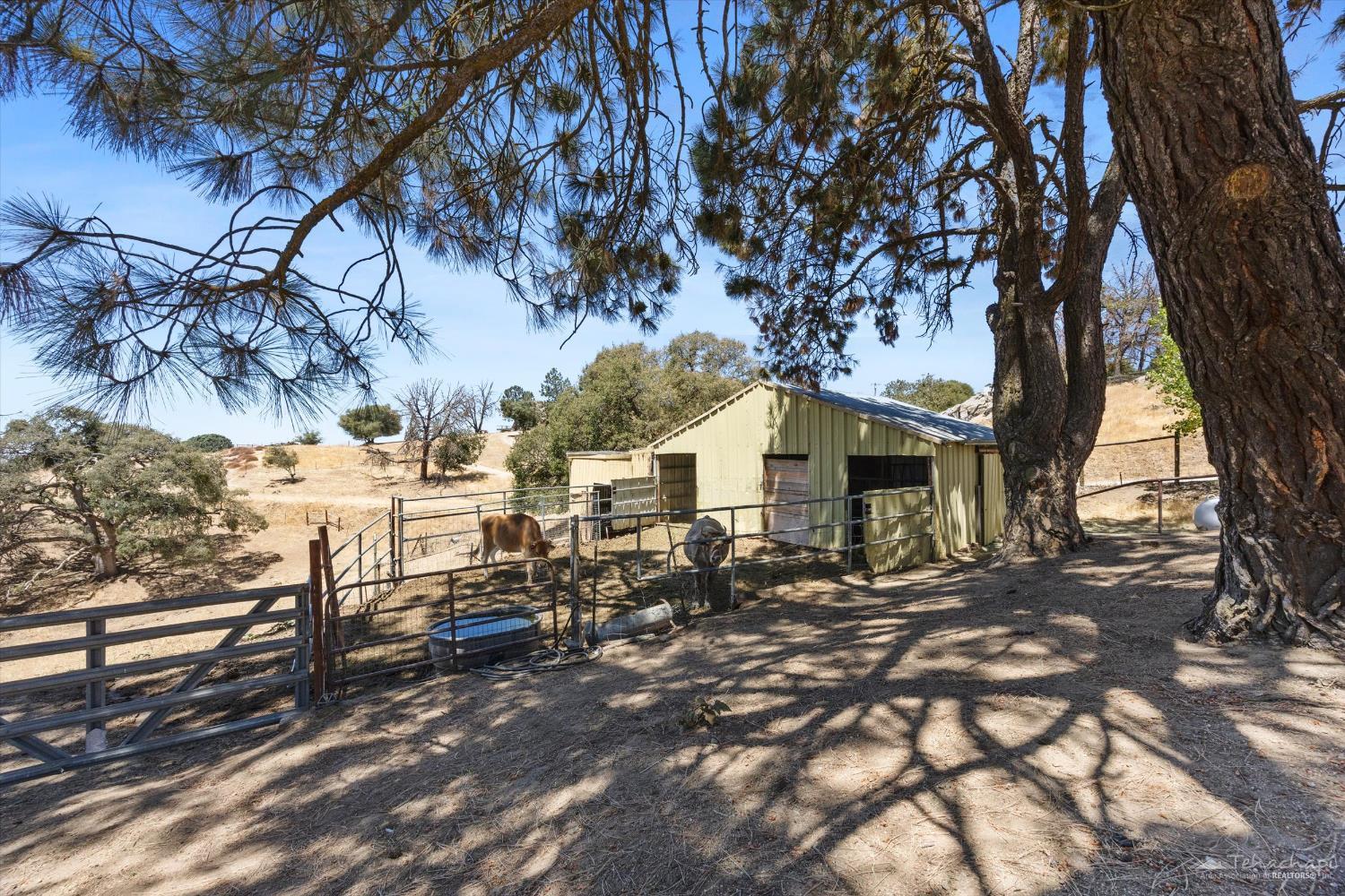 19251 Quail Drive