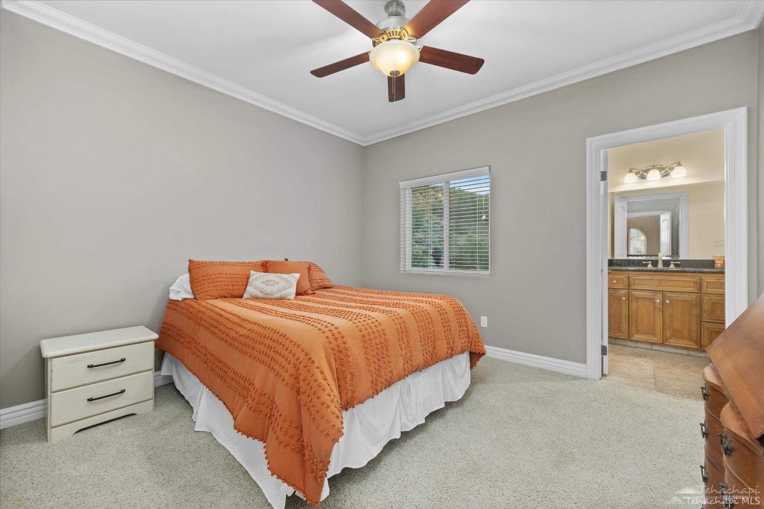 23301 Reindeer Drive