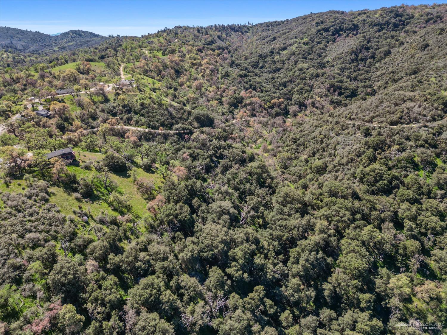 30951 Pinedale Drive