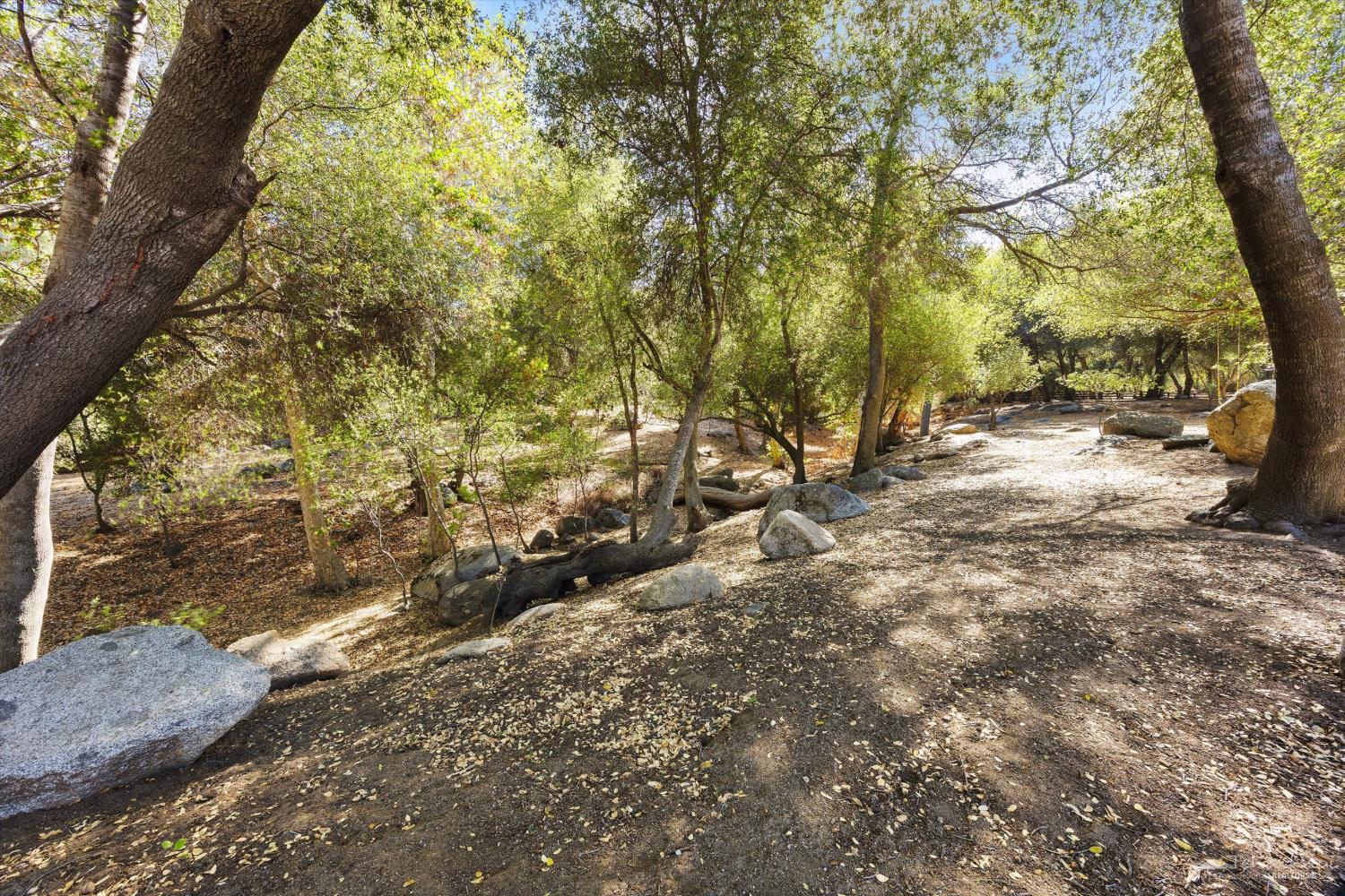 28429 Valley Oak Road