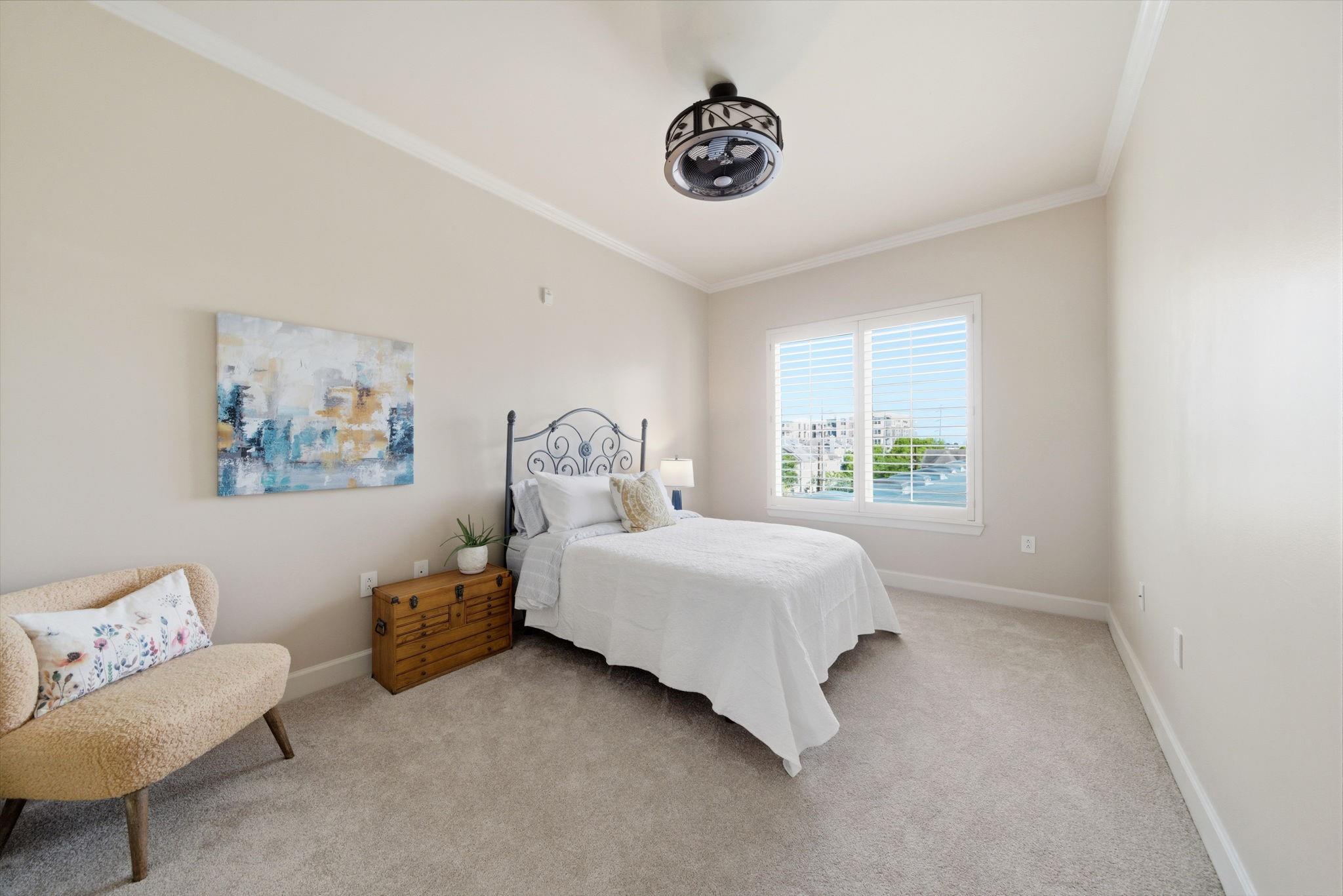 100 Willard Street # 36