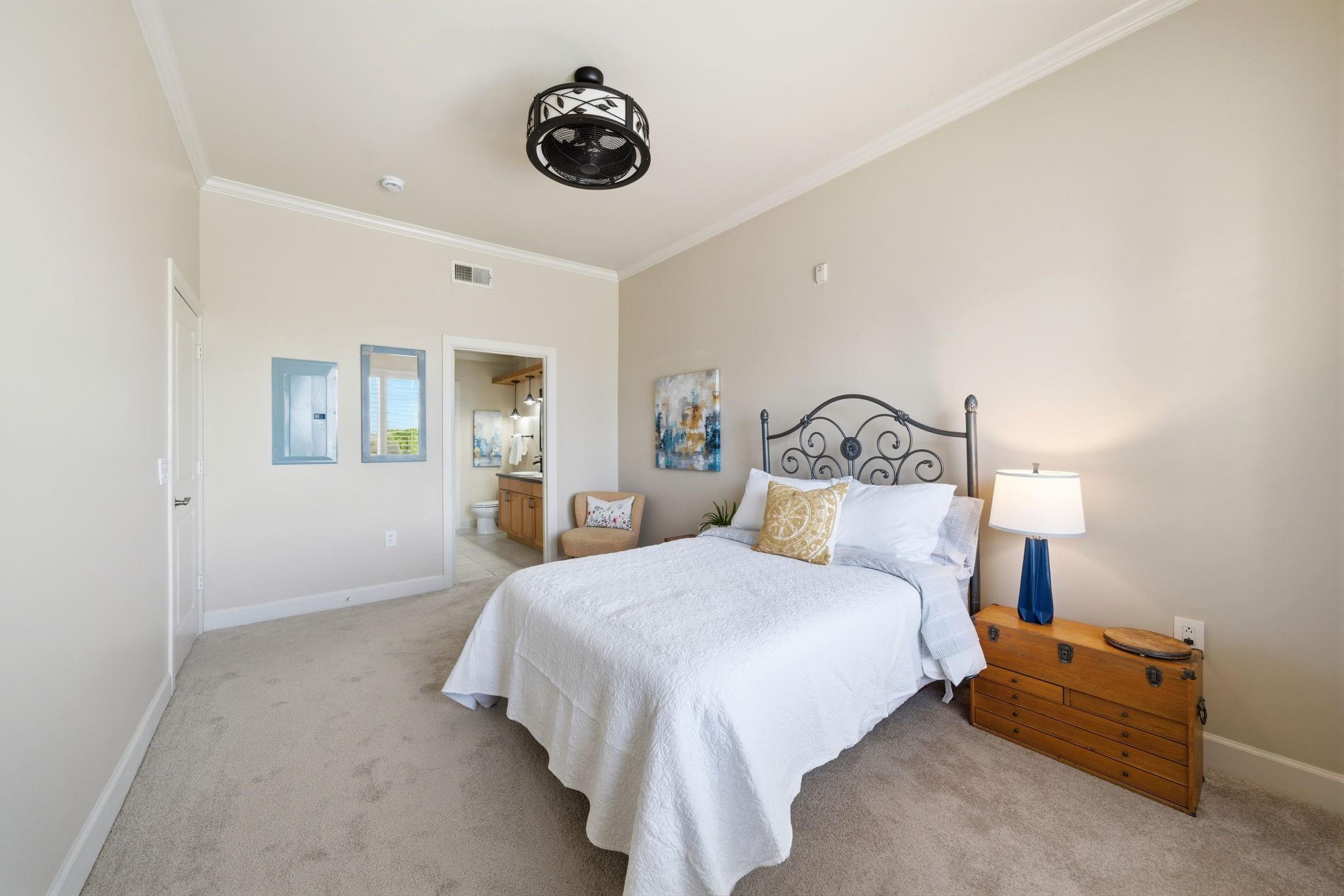 100 Willard Street # 36