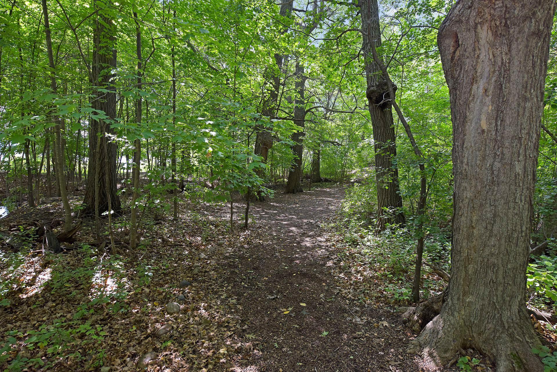 3736 Terra Vista Way