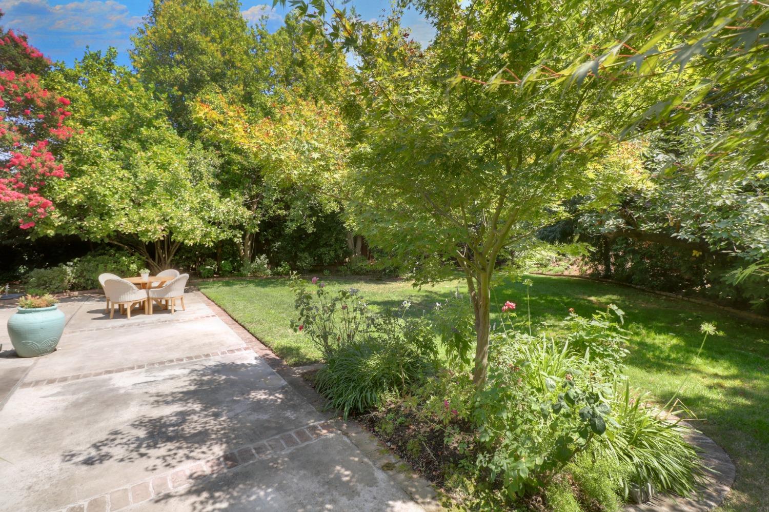 3230 American River Drive