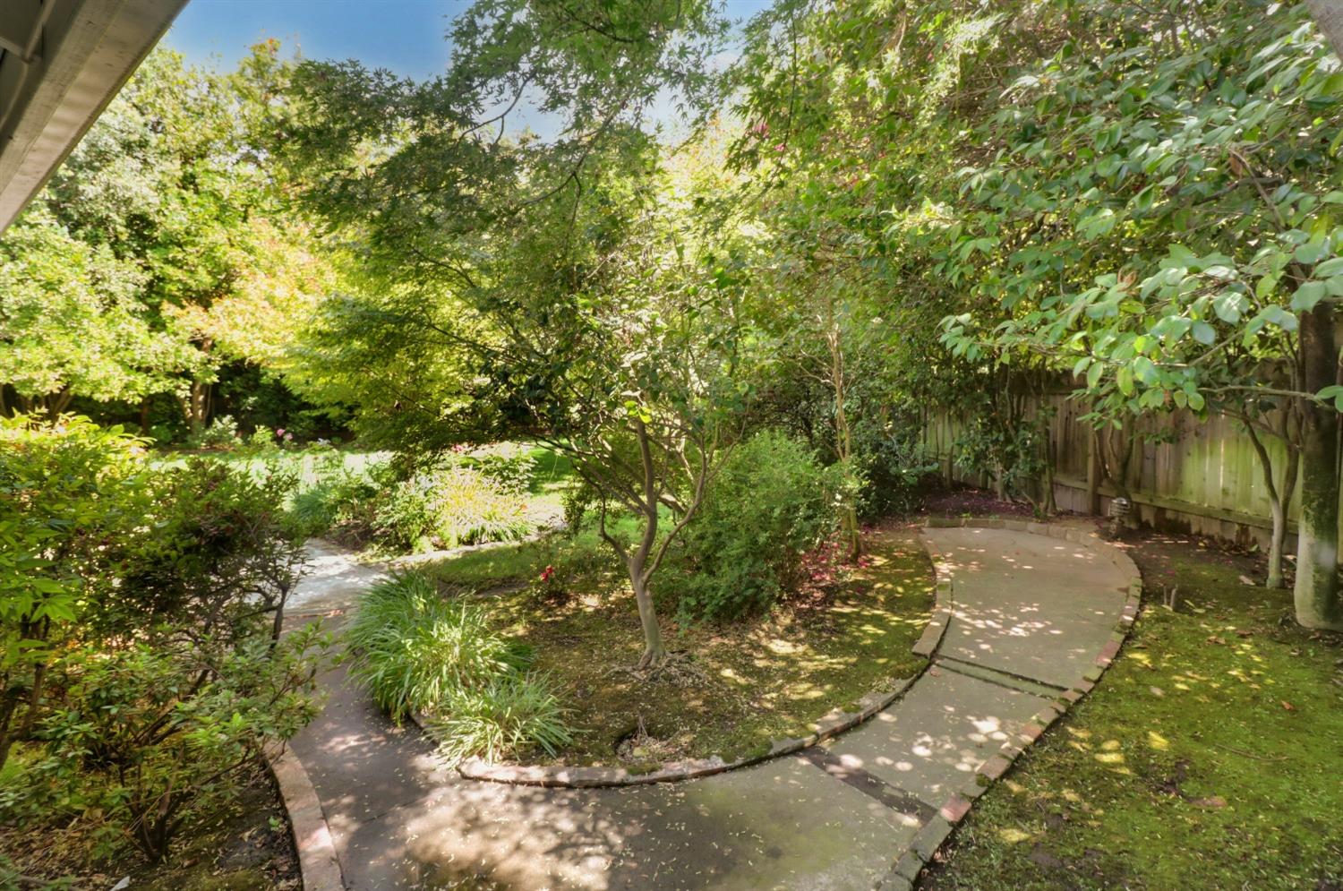 3230 American River Drive