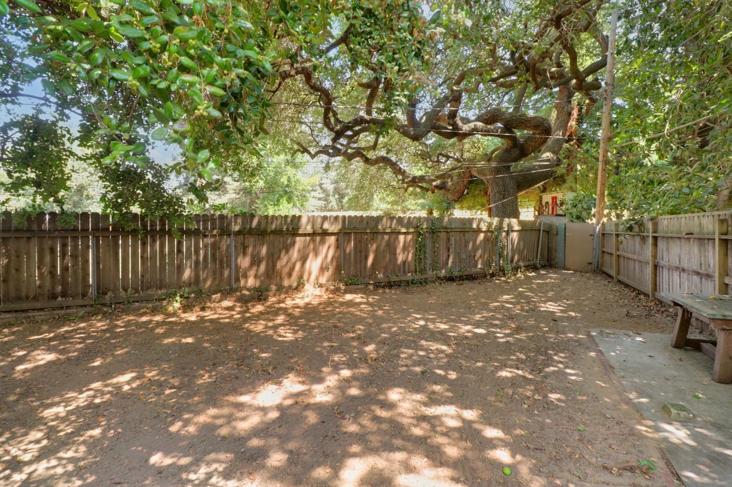 3230 American River Drive