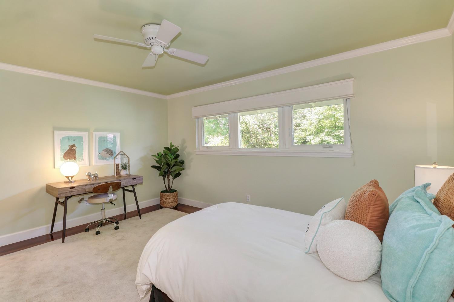 3230 American River Drive