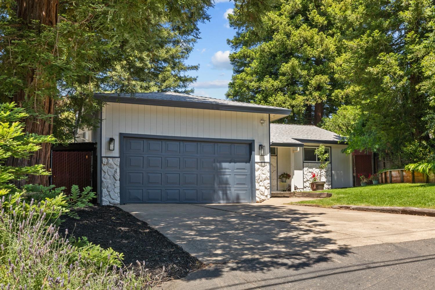 7889 Olive Street