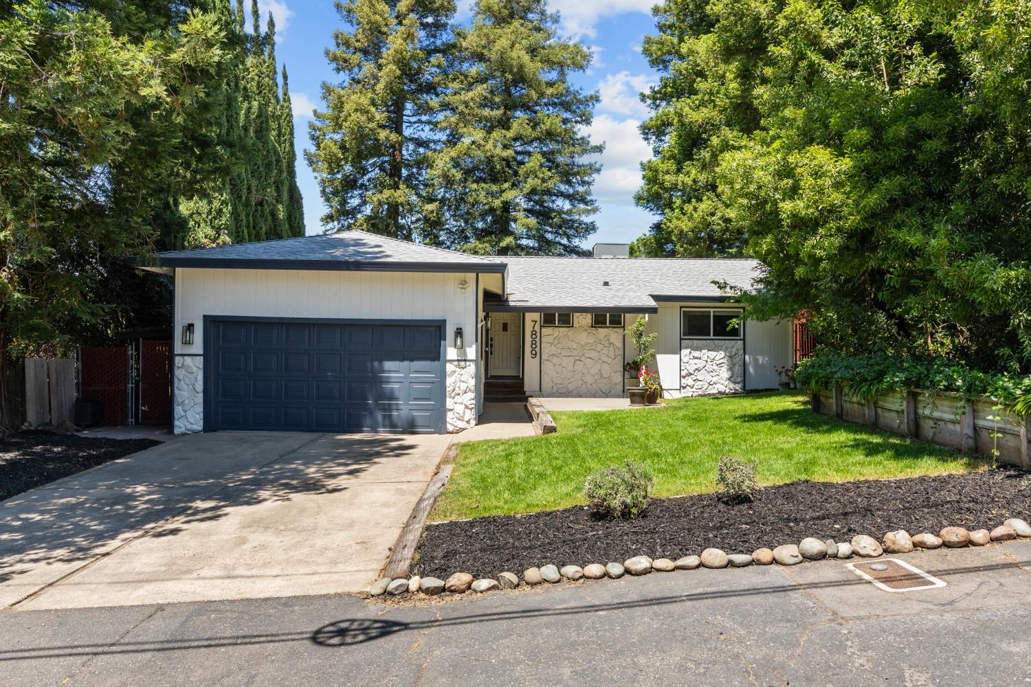 7889 Olive Street