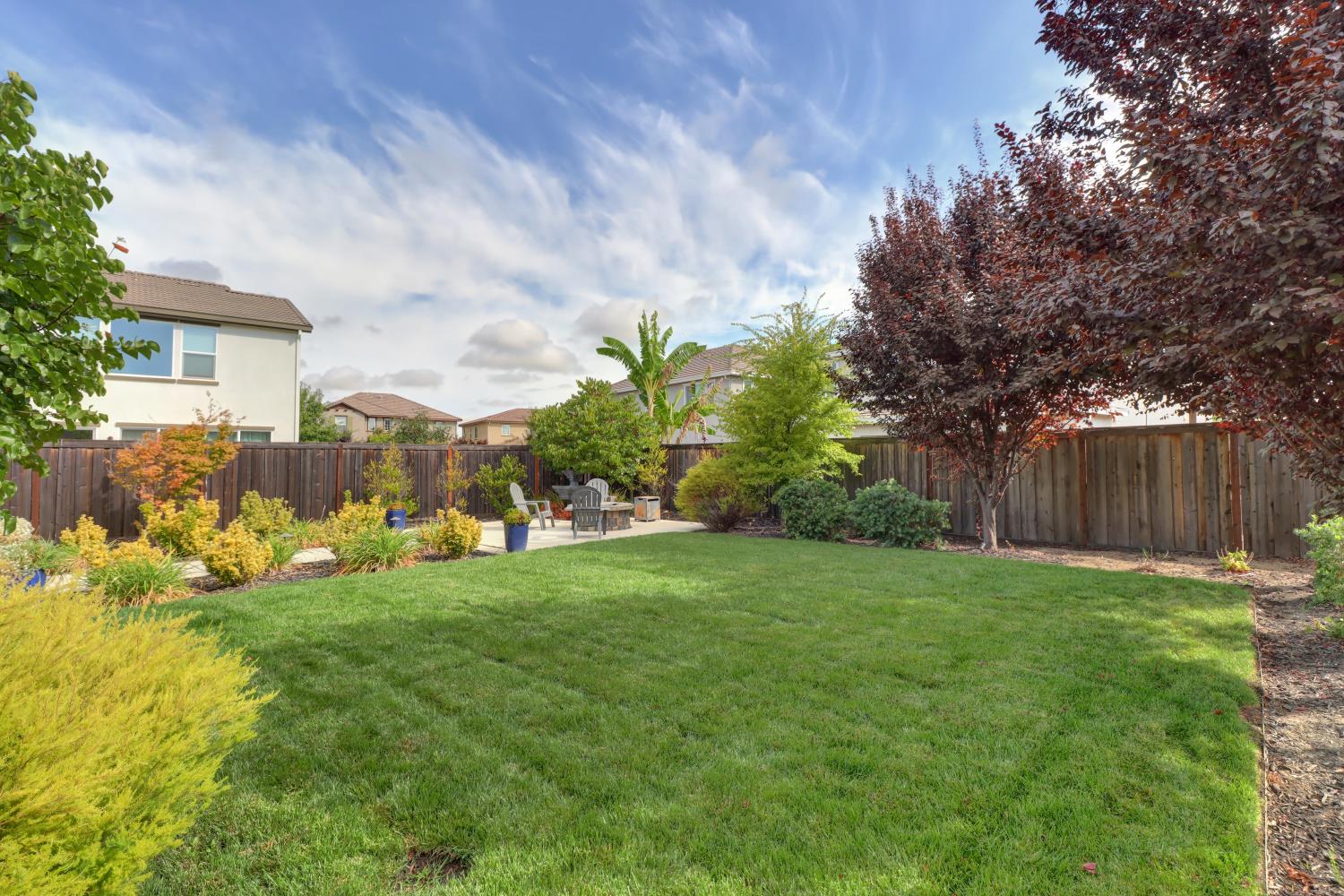386 Olivadi Way