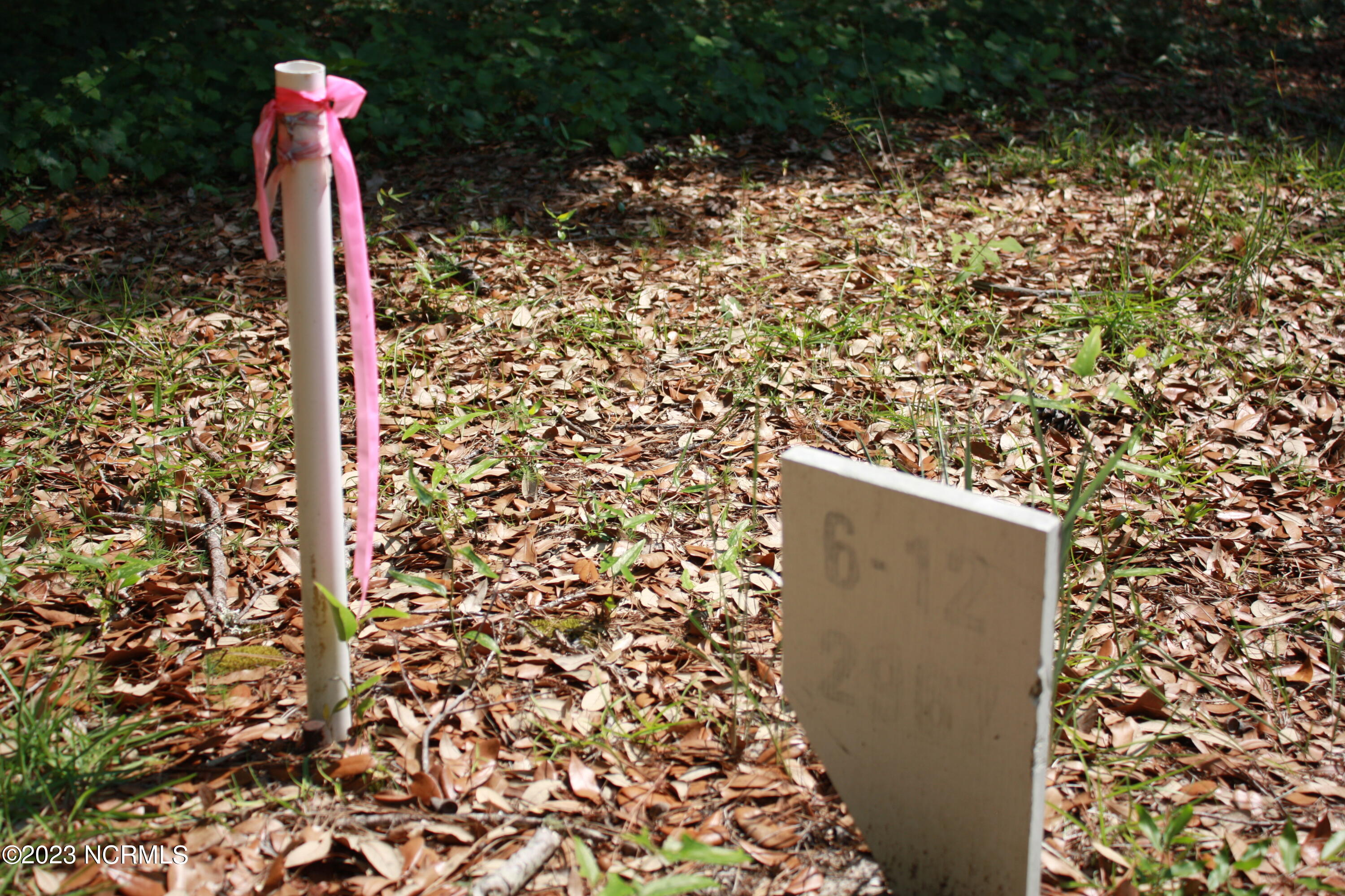 2967 12 Island Drive SE