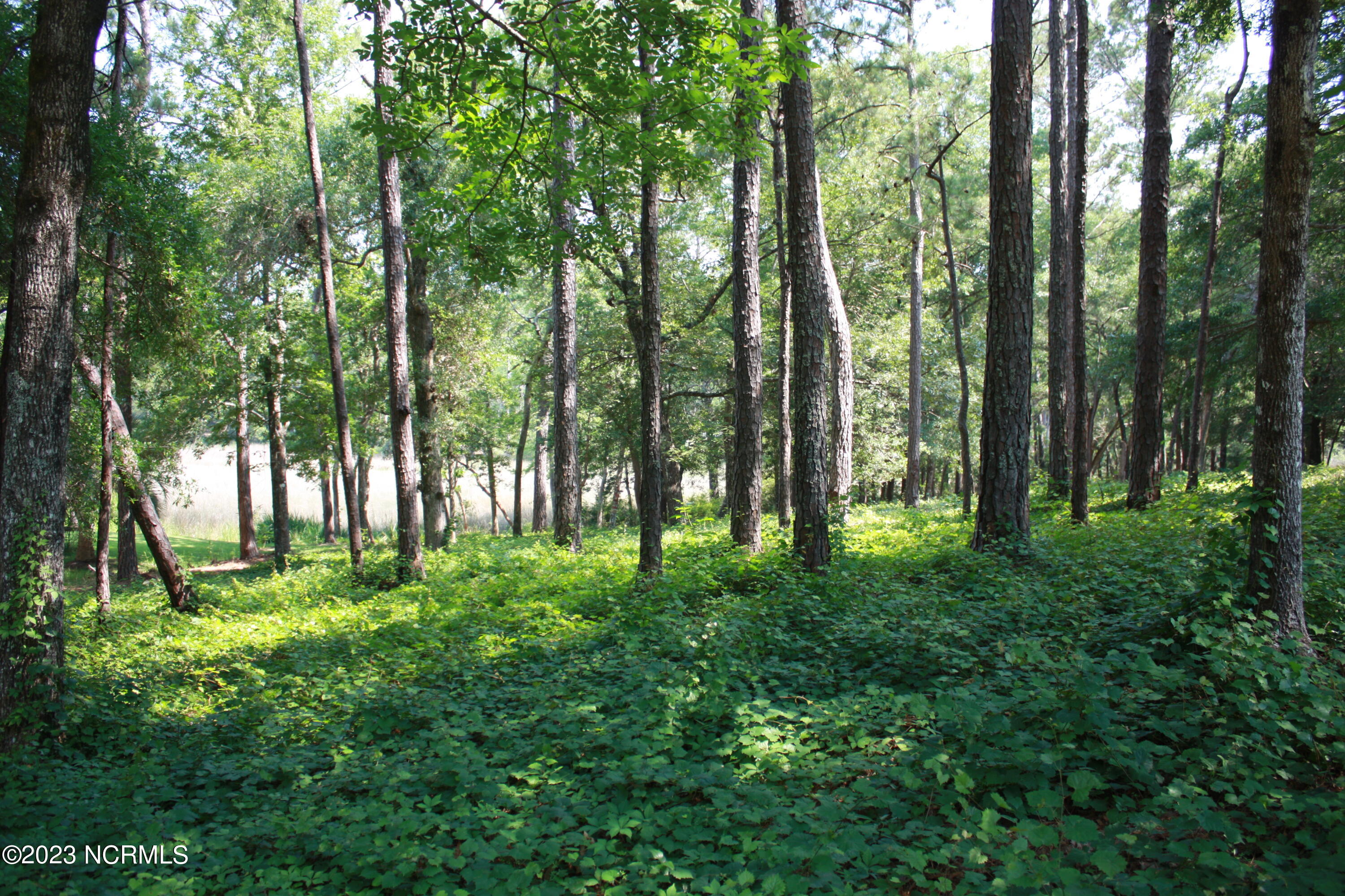 2967 12 Island Drive SE