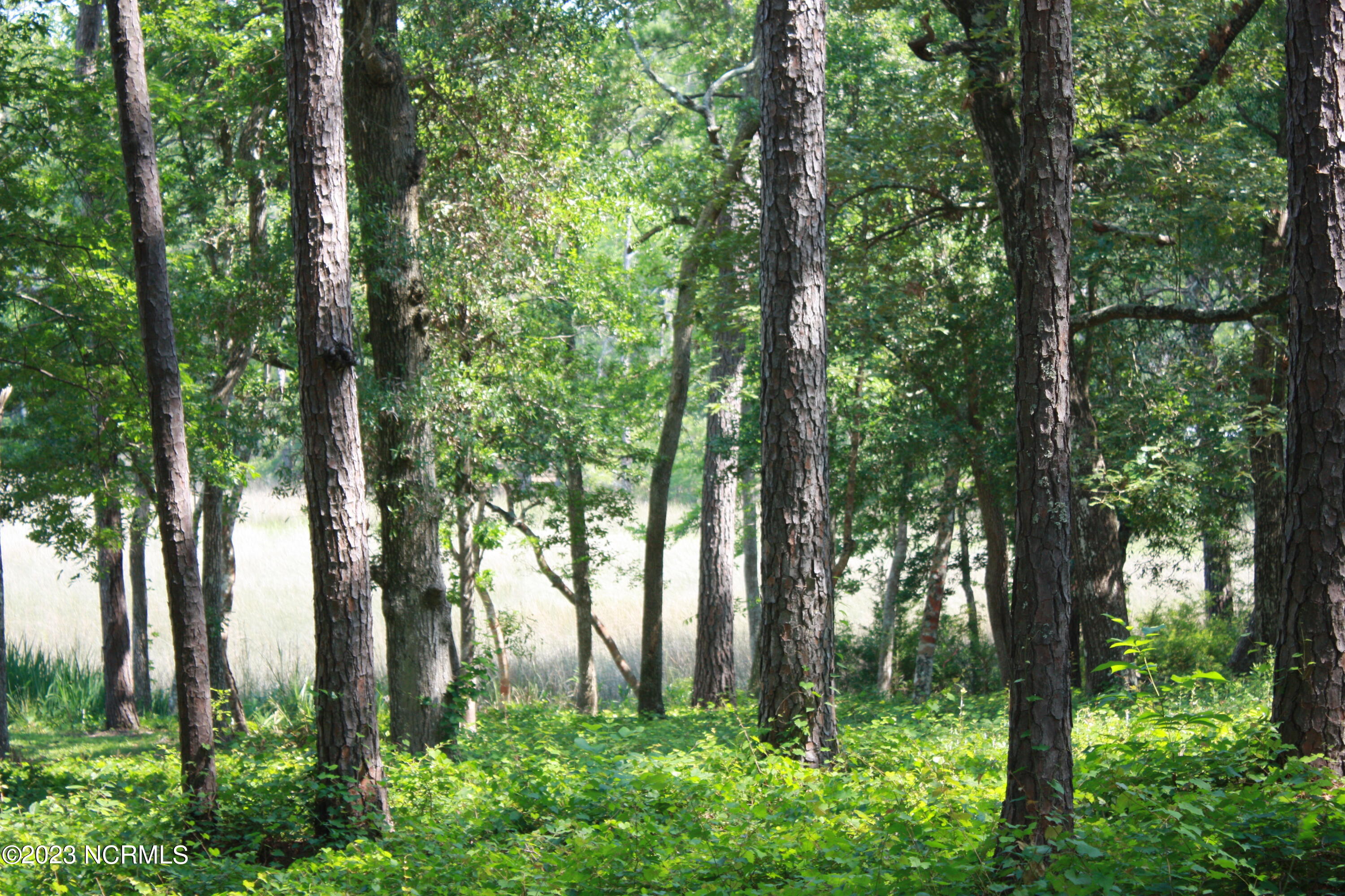 2967 12 Island Drive SE