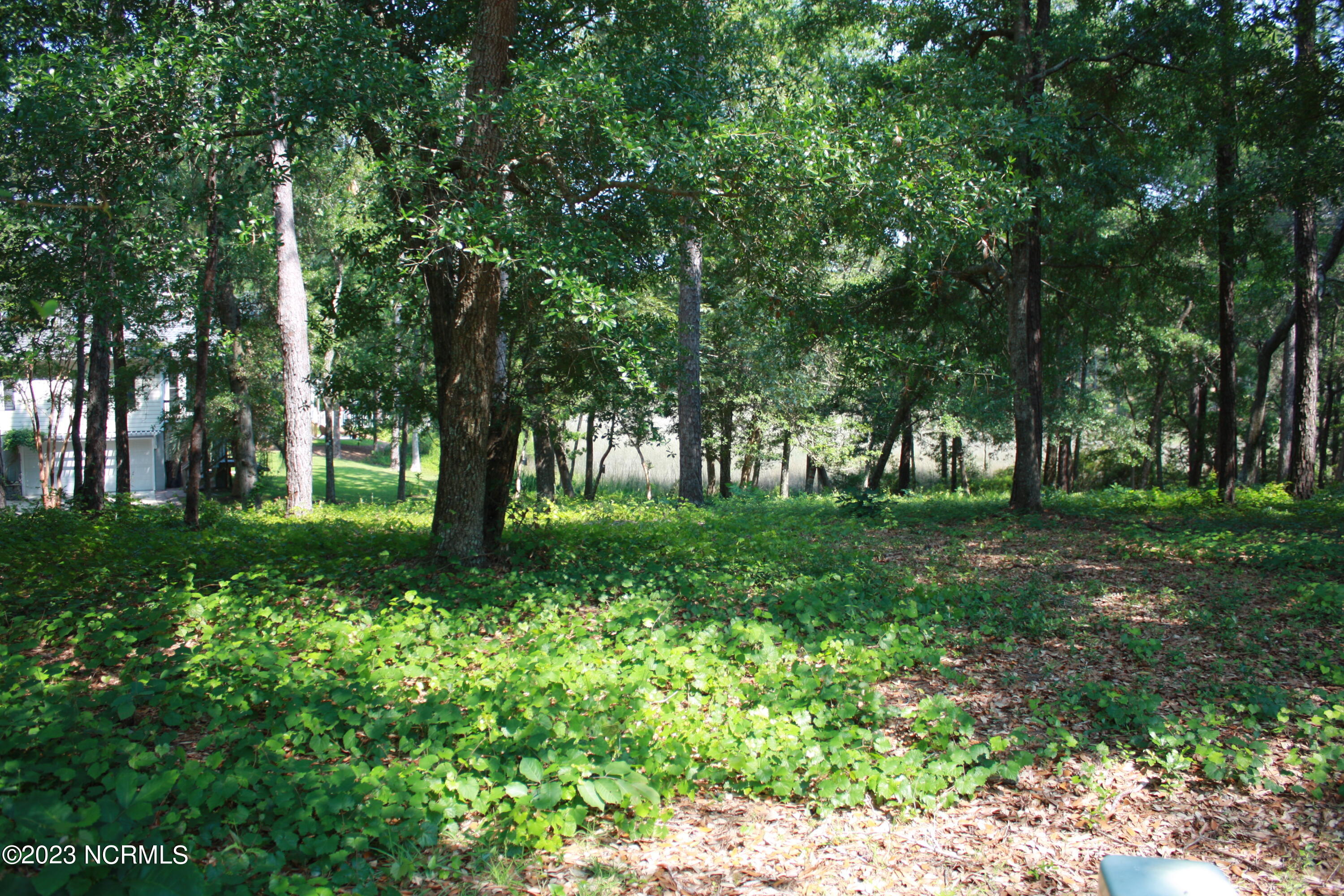 2967 12 Island Drive SE