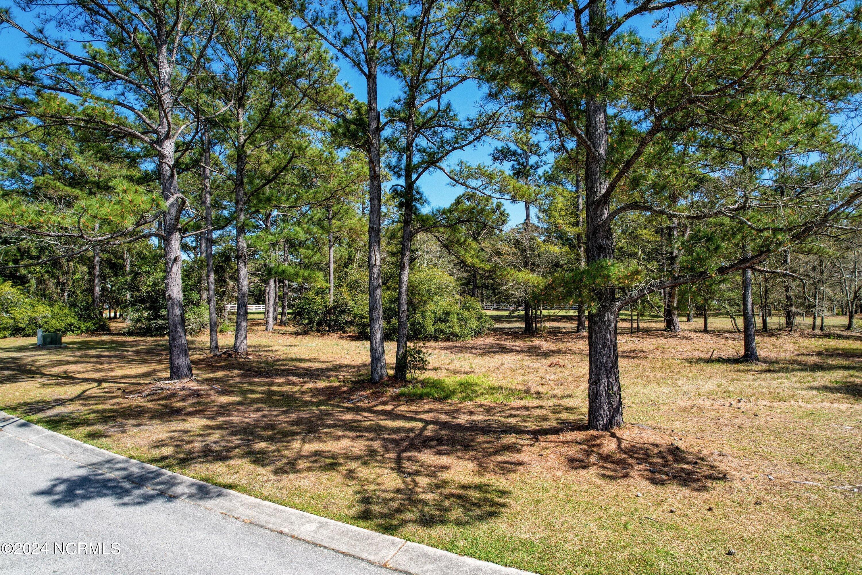 3395 60&61 Turnbuckle Lane SE