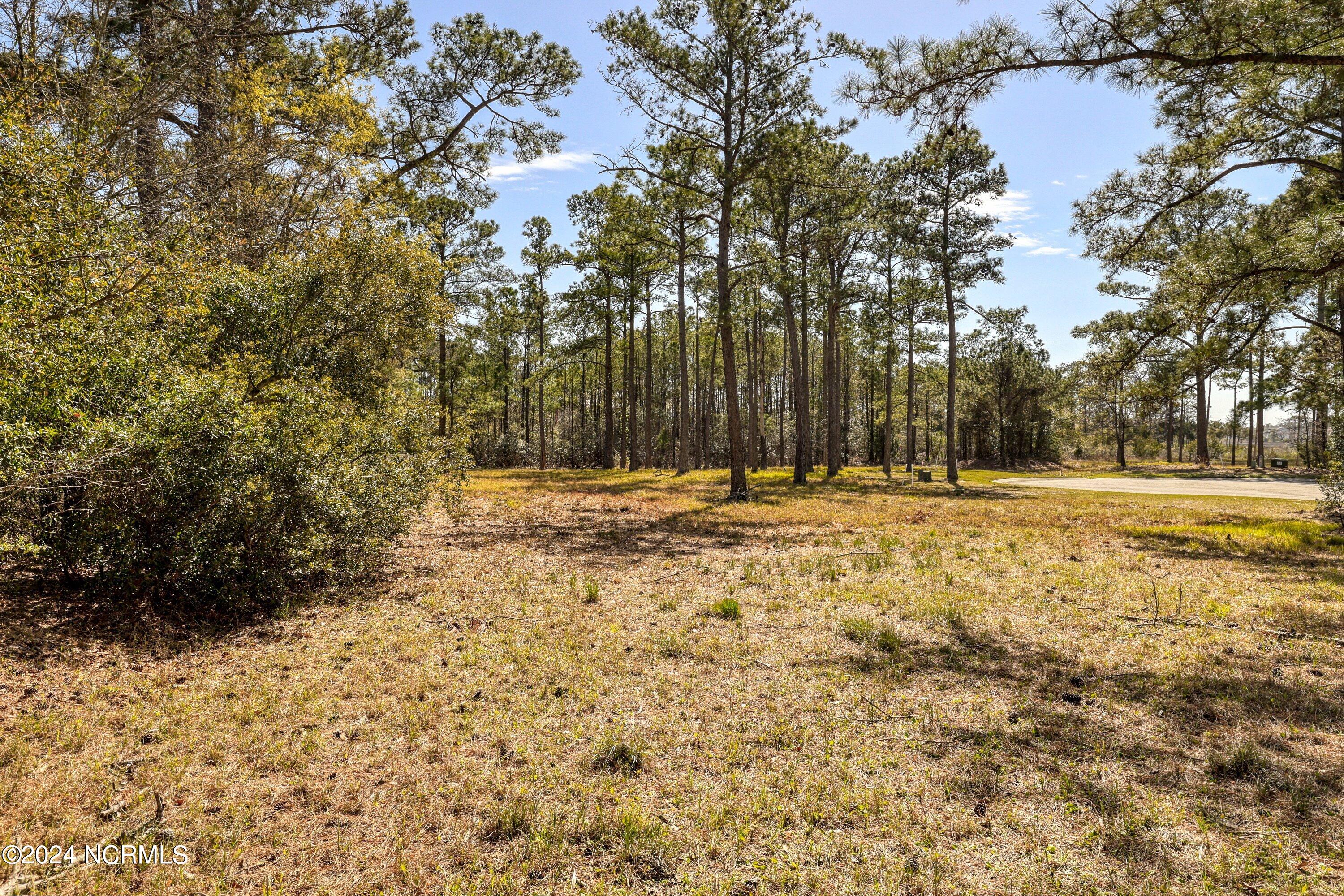 3395 60&61 Turnbuckle Lane SE