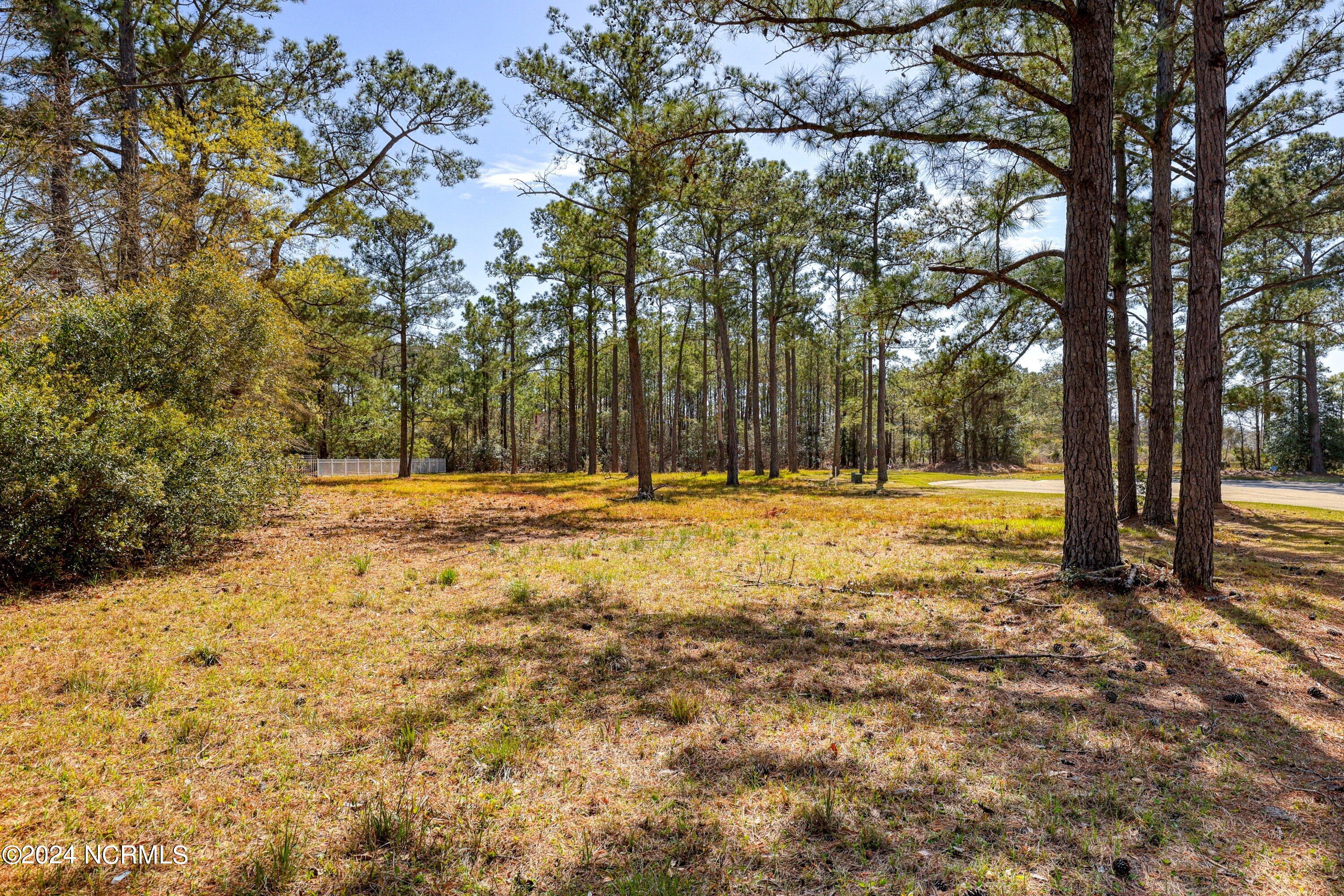 3395 60&61 Turnbuckle Lane SE