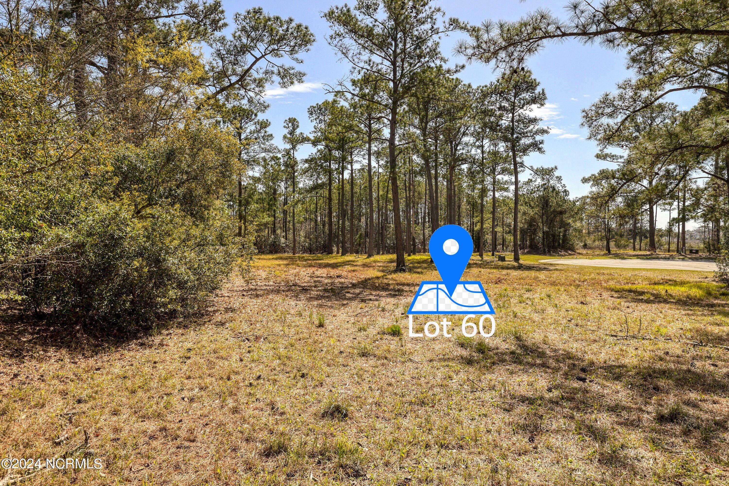 3395 60&61 Turnbuckle Lane SE