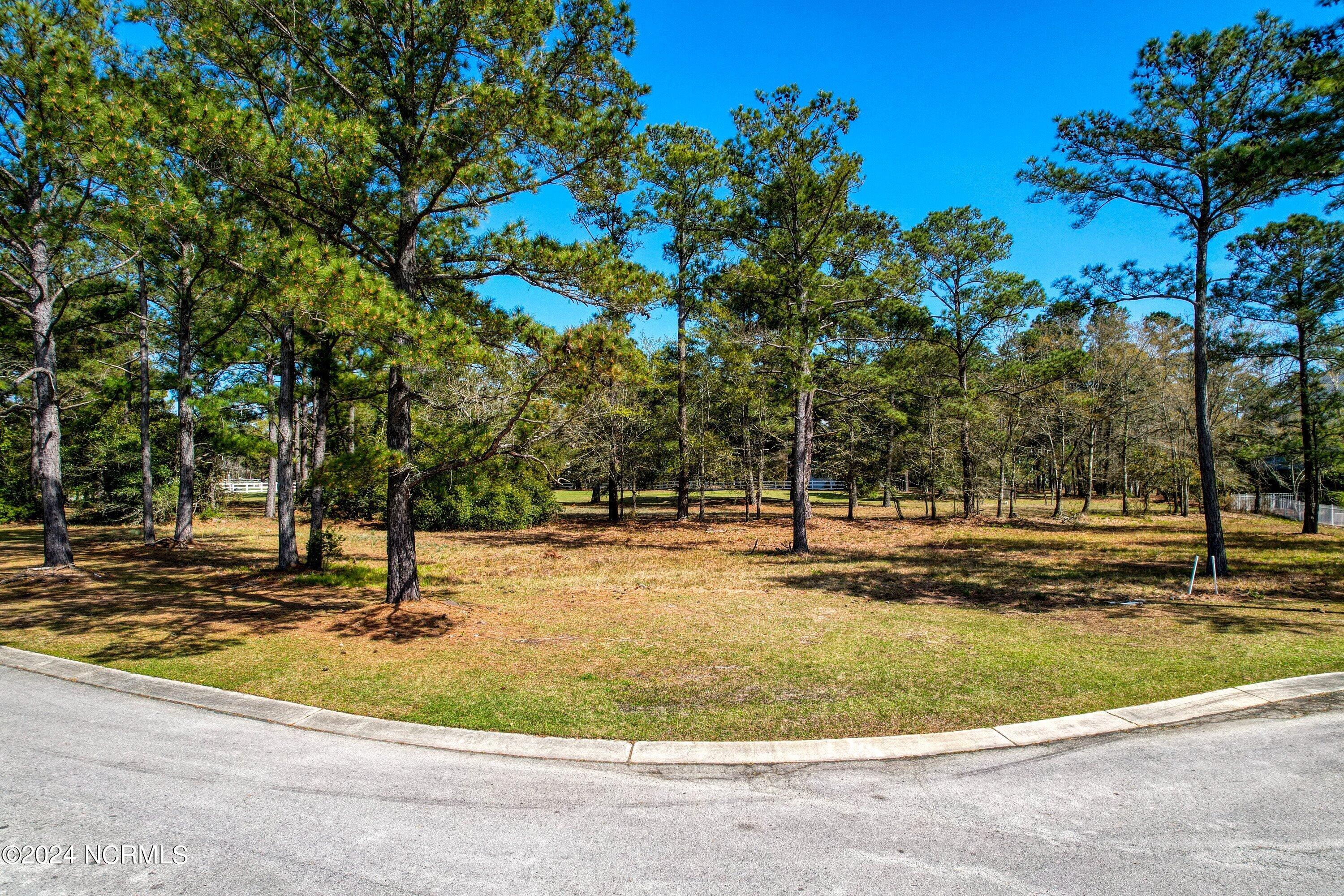 3395 60&61 Turnbuckle Lane SE