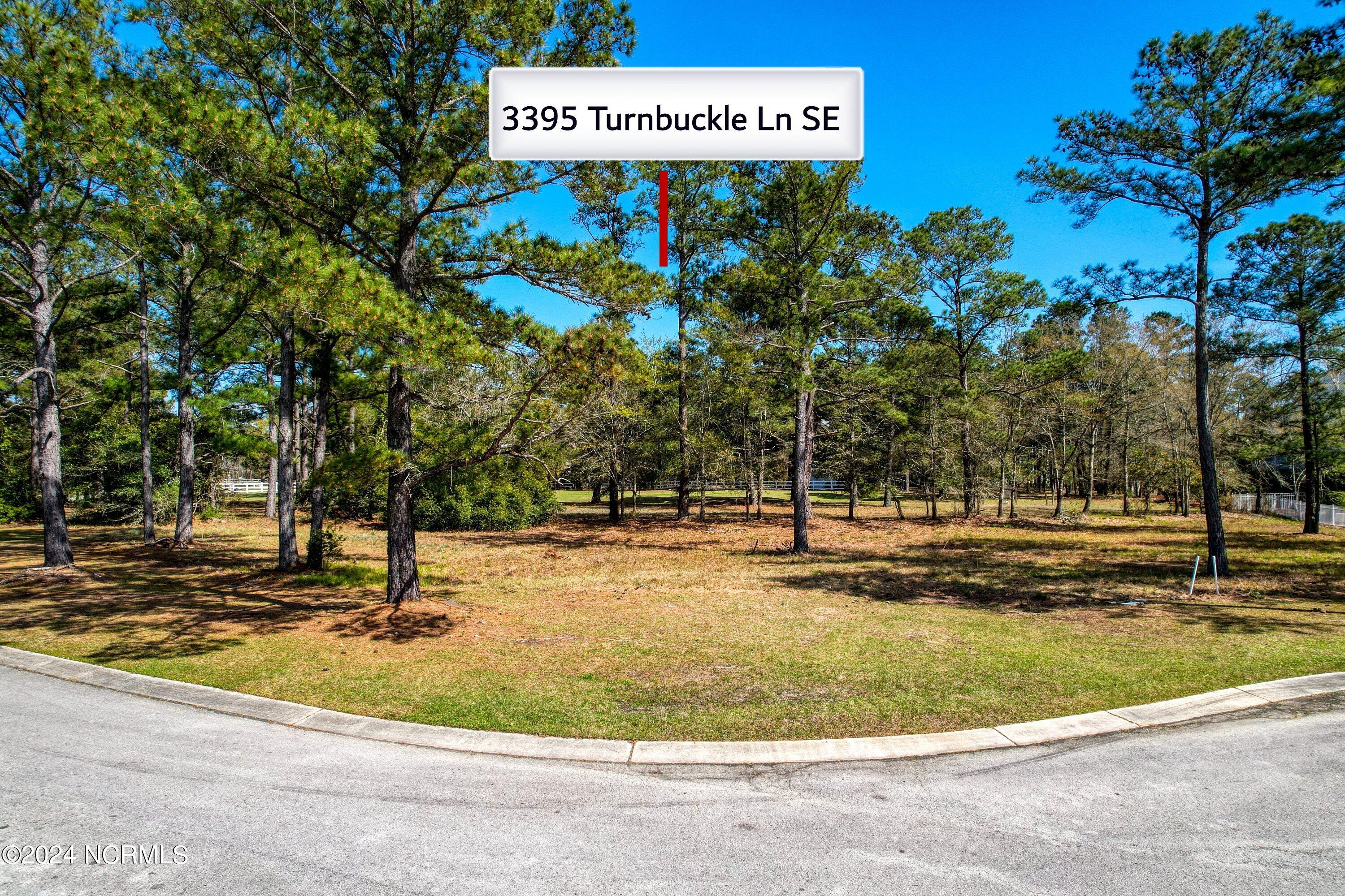 3395 60&61 Turnbuckle Lane SE