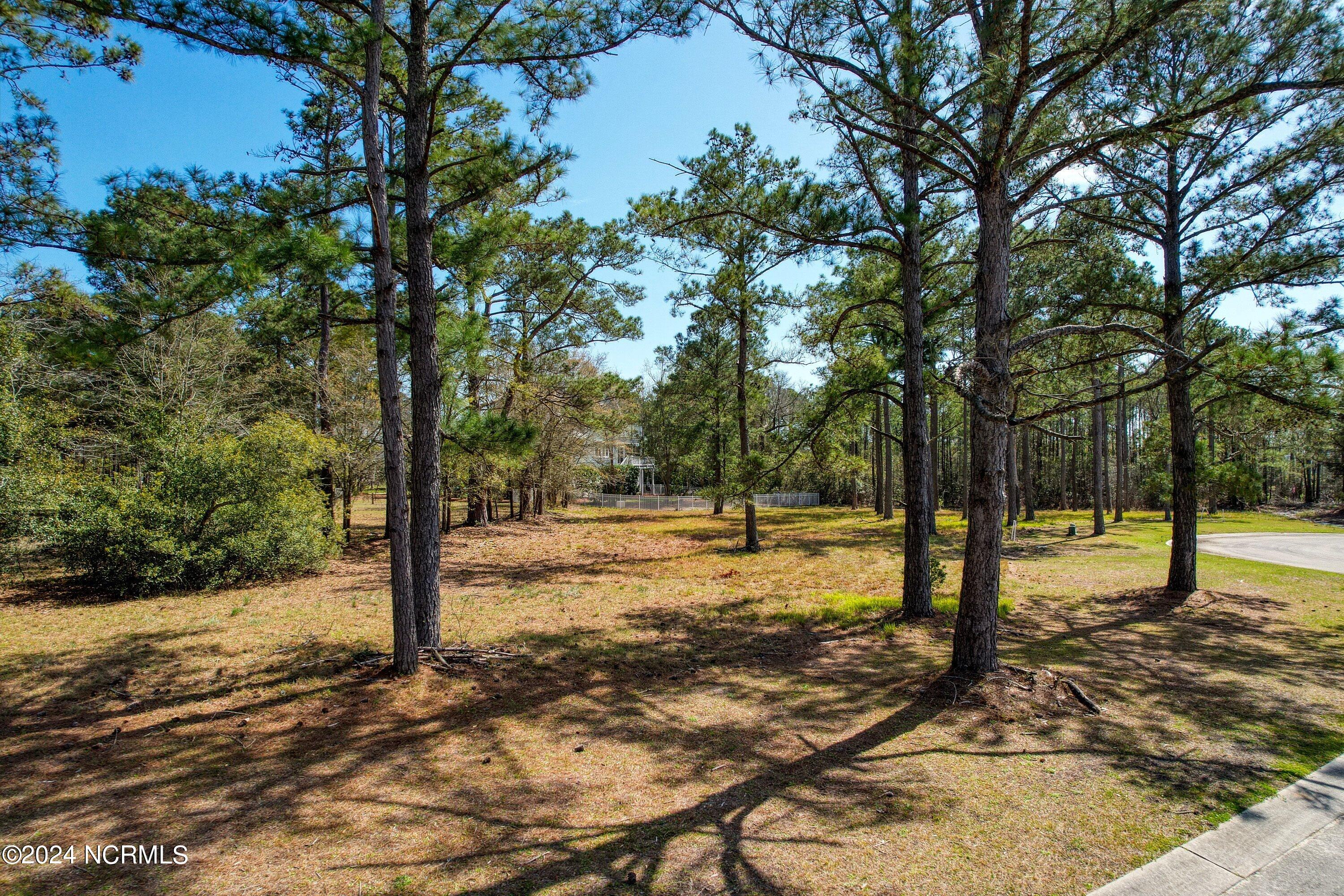 3395 60&61 Turnbuckle Lane SE