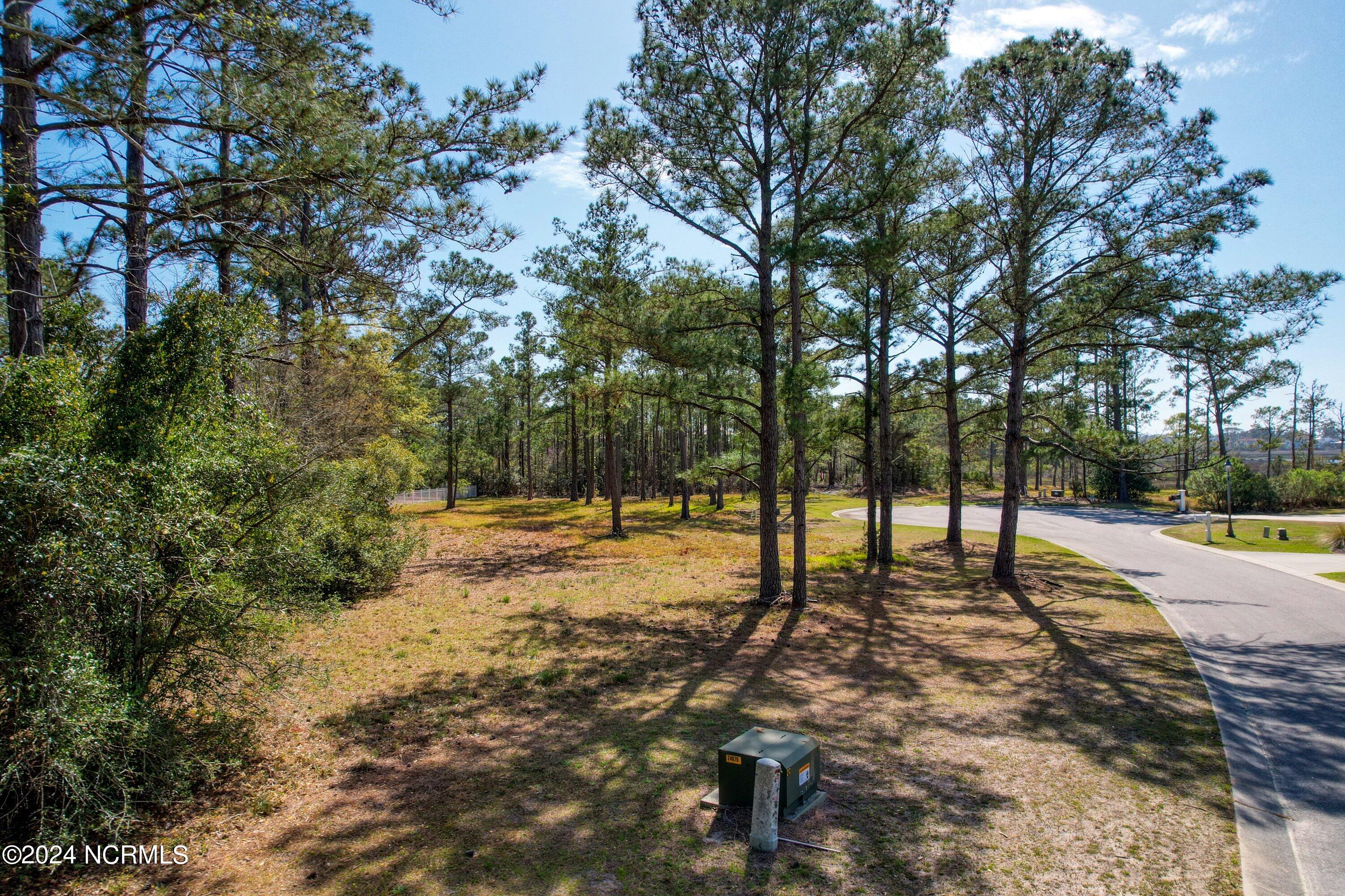 3395 60&61 Turnbuckle Lane SE