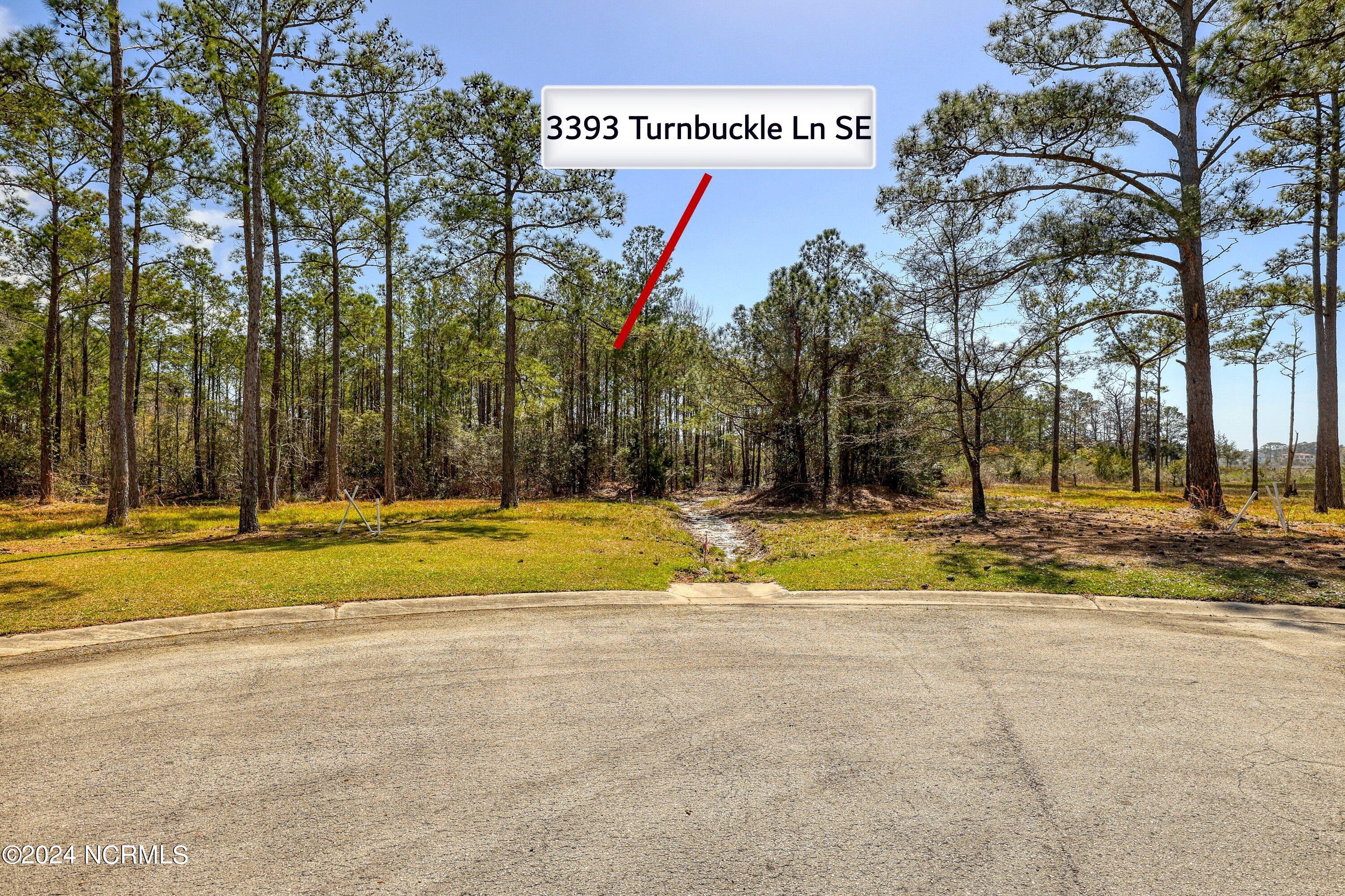 3395 60&61 Turnbuckle Lane SE