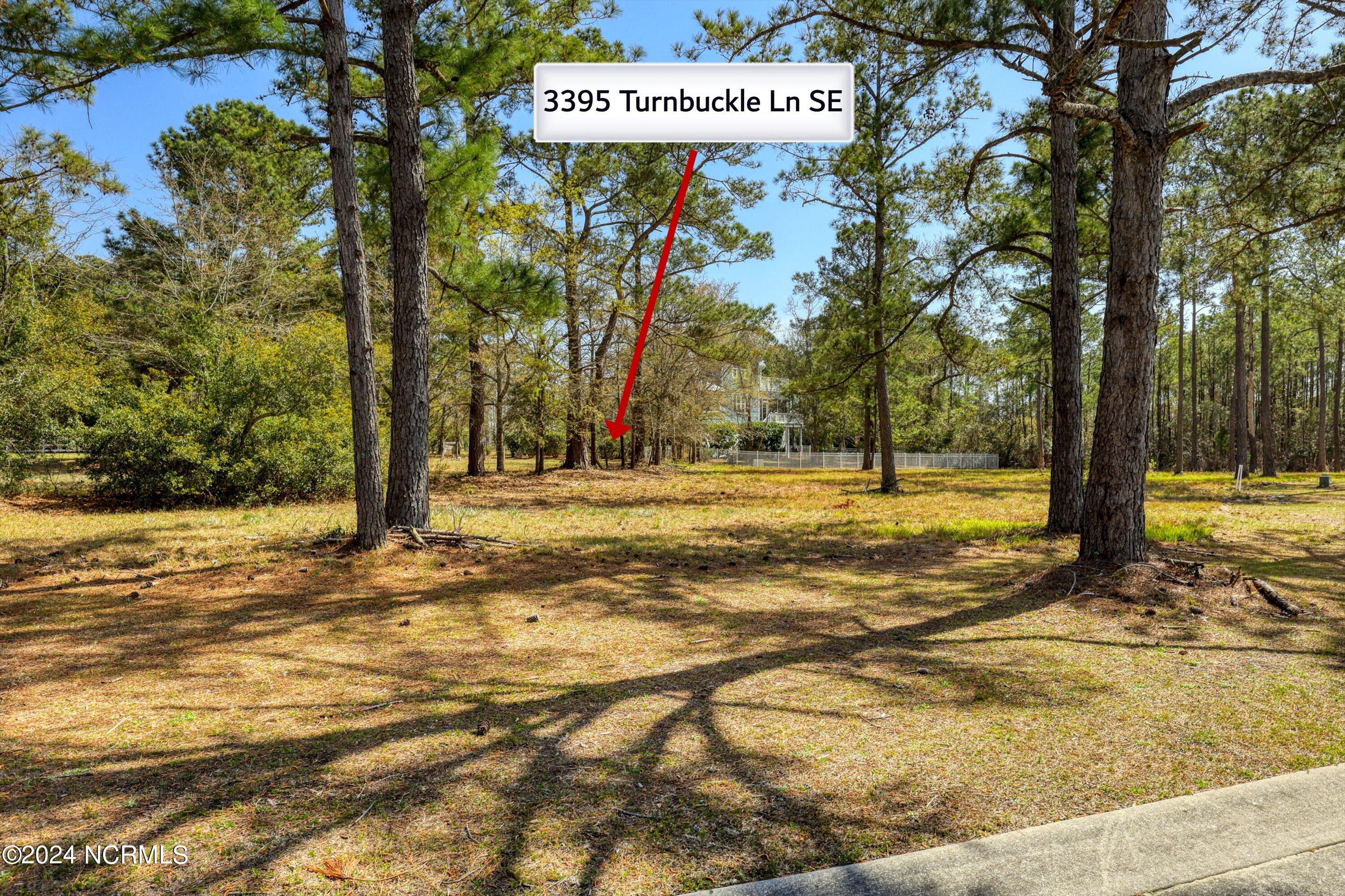 3395 60&61 Turnbuckle Lane SE