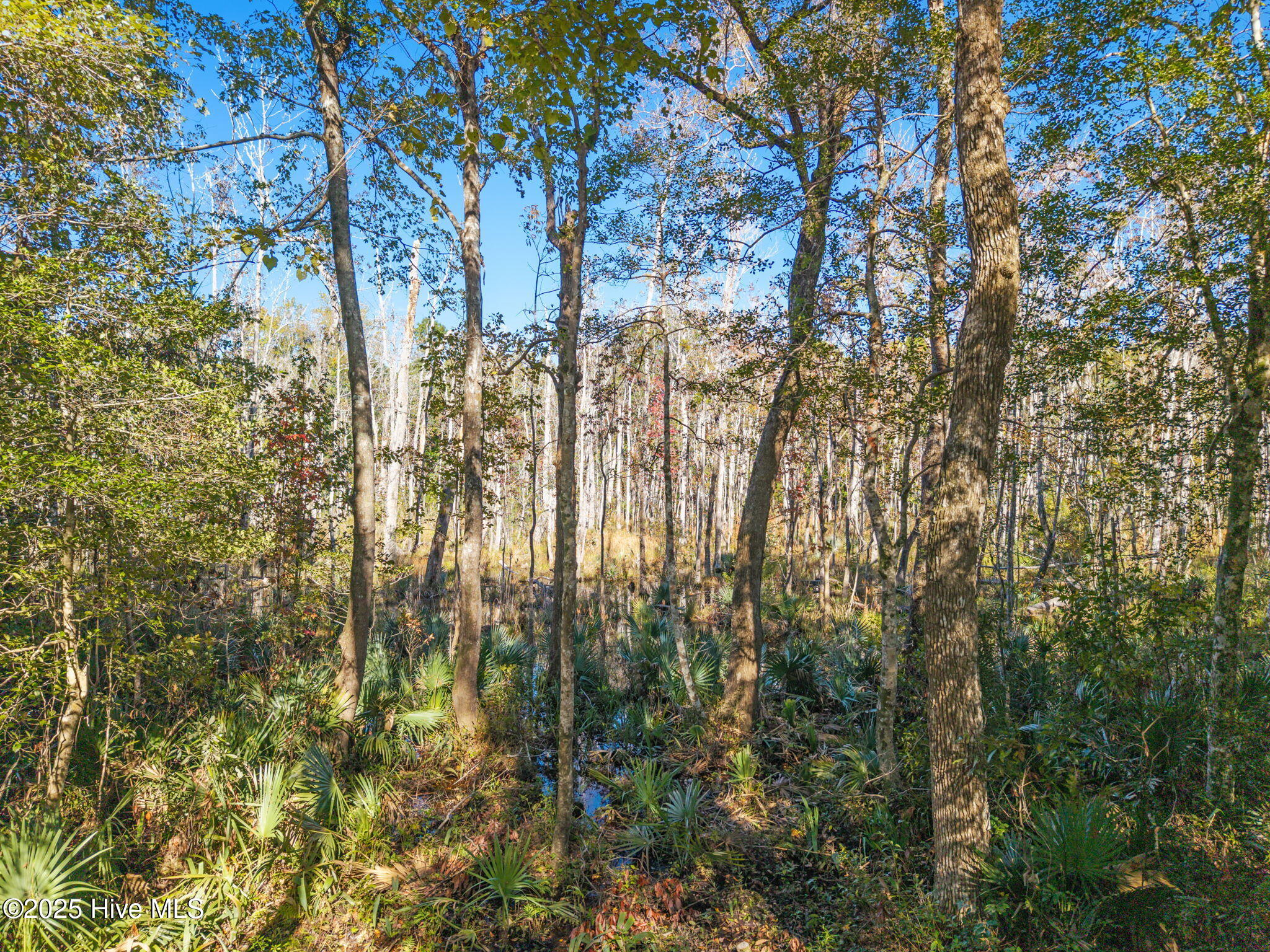 Lot 1 & 4 1, 4 Midway Road SE